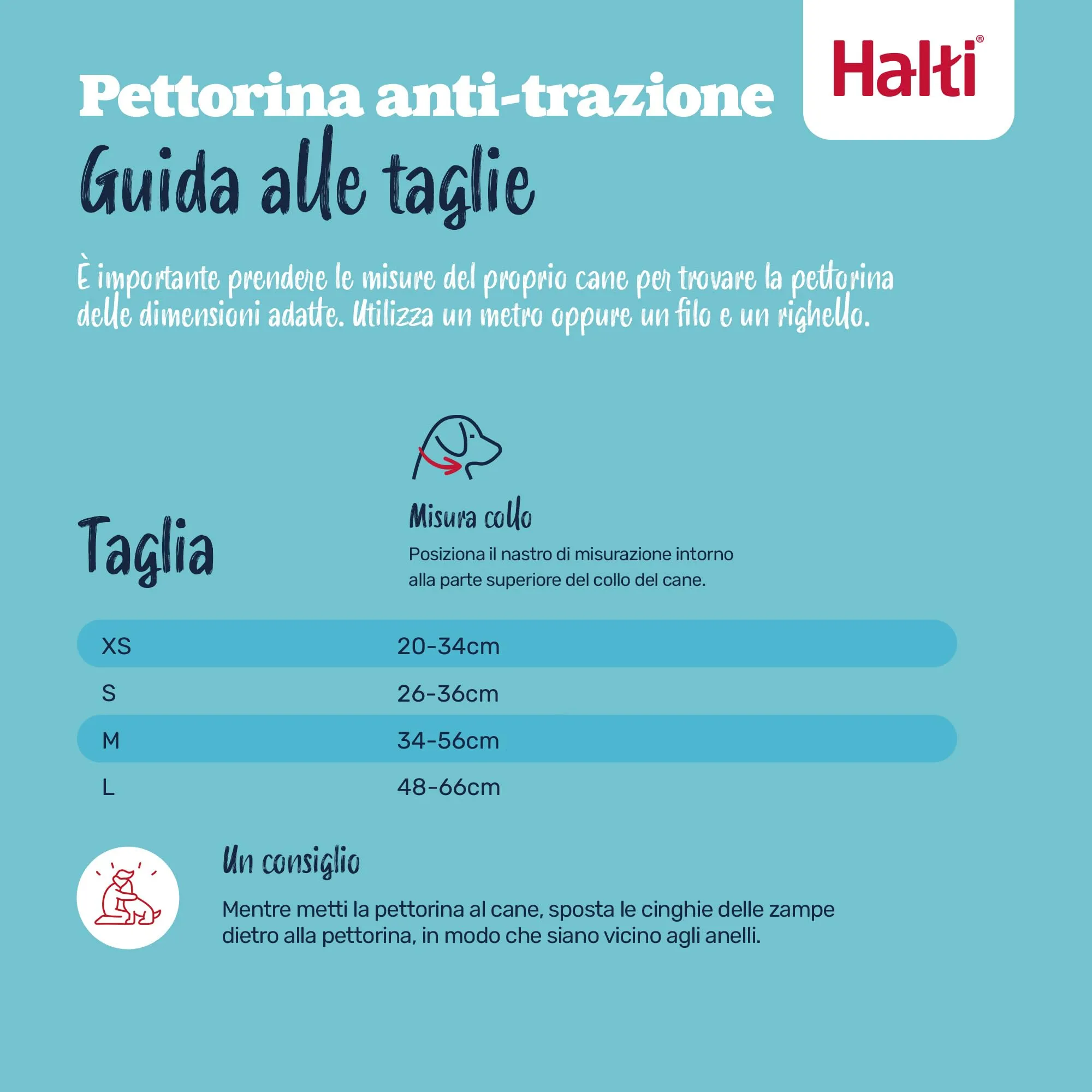 Halti Pettorina anti-trazione per cani, Taglia M, Verde Foresta - immagine 5