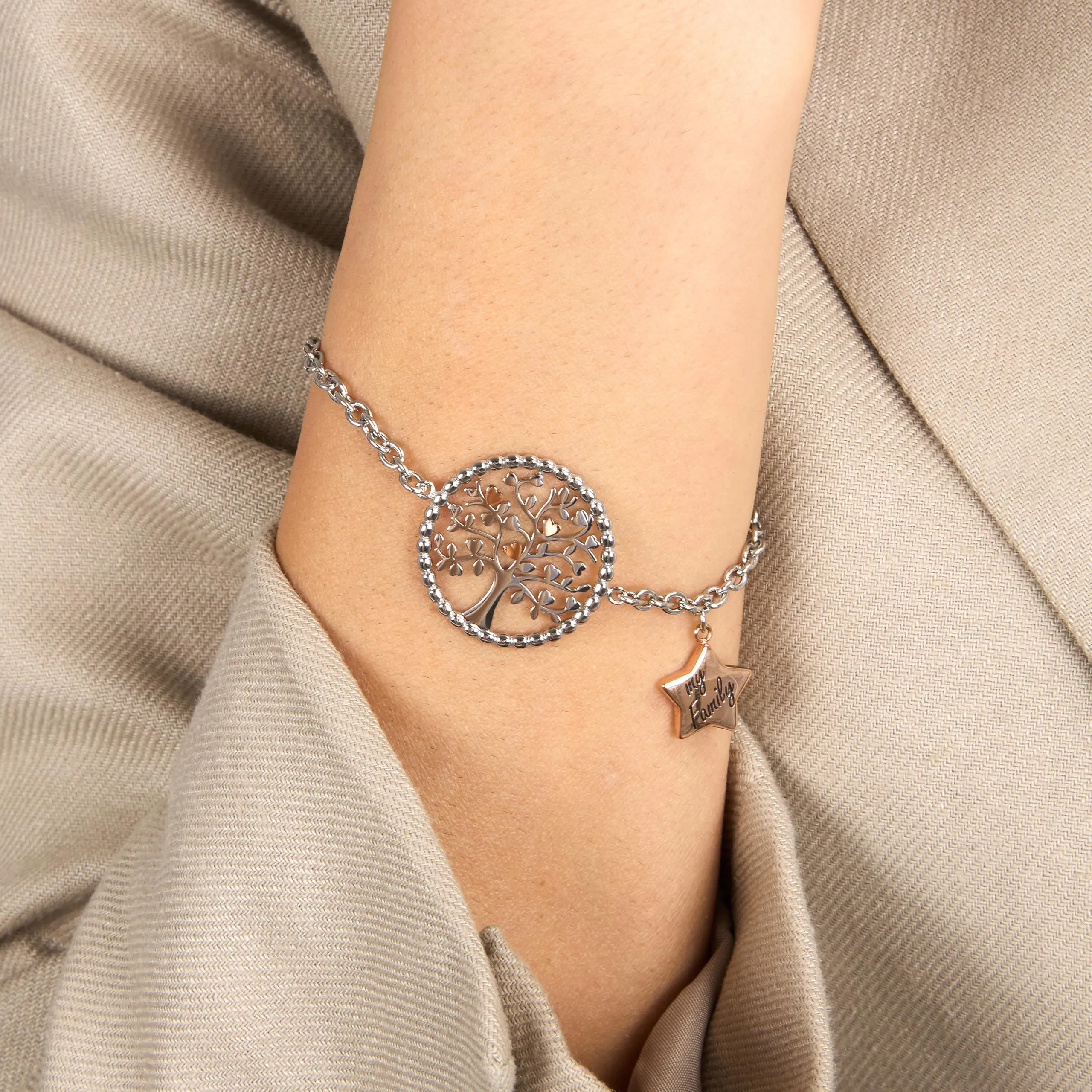 Morellato Bracciale Donna Collezione Talismani in Acciaio SAQE14 - immagine 5