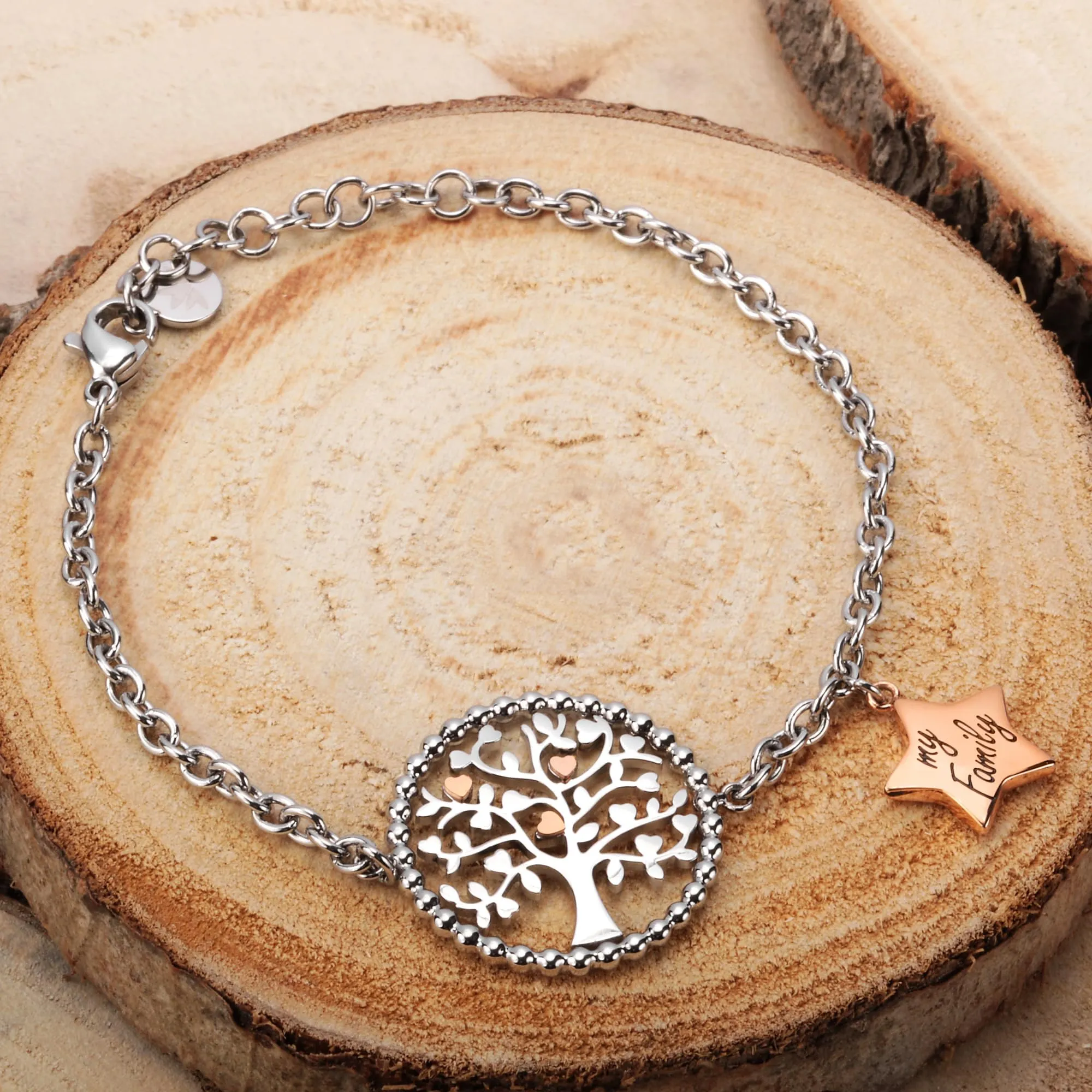 Morellato Bracciale Donna Collezione Talismani in Acciaio SAQE14 - immagine 6