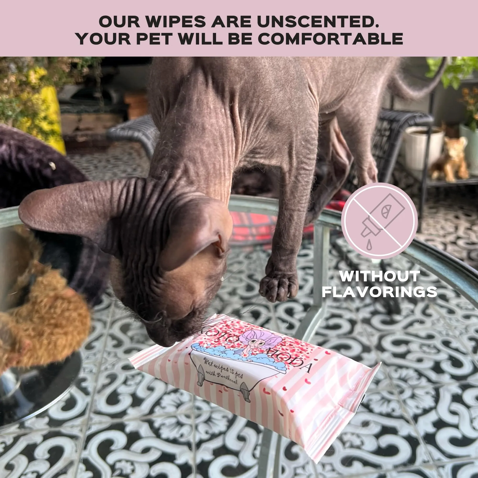 Kotomoda Salviette umidificate con pantenolo per Gatto sfinge, 16 confezioni/240 pezzi - immagine 5