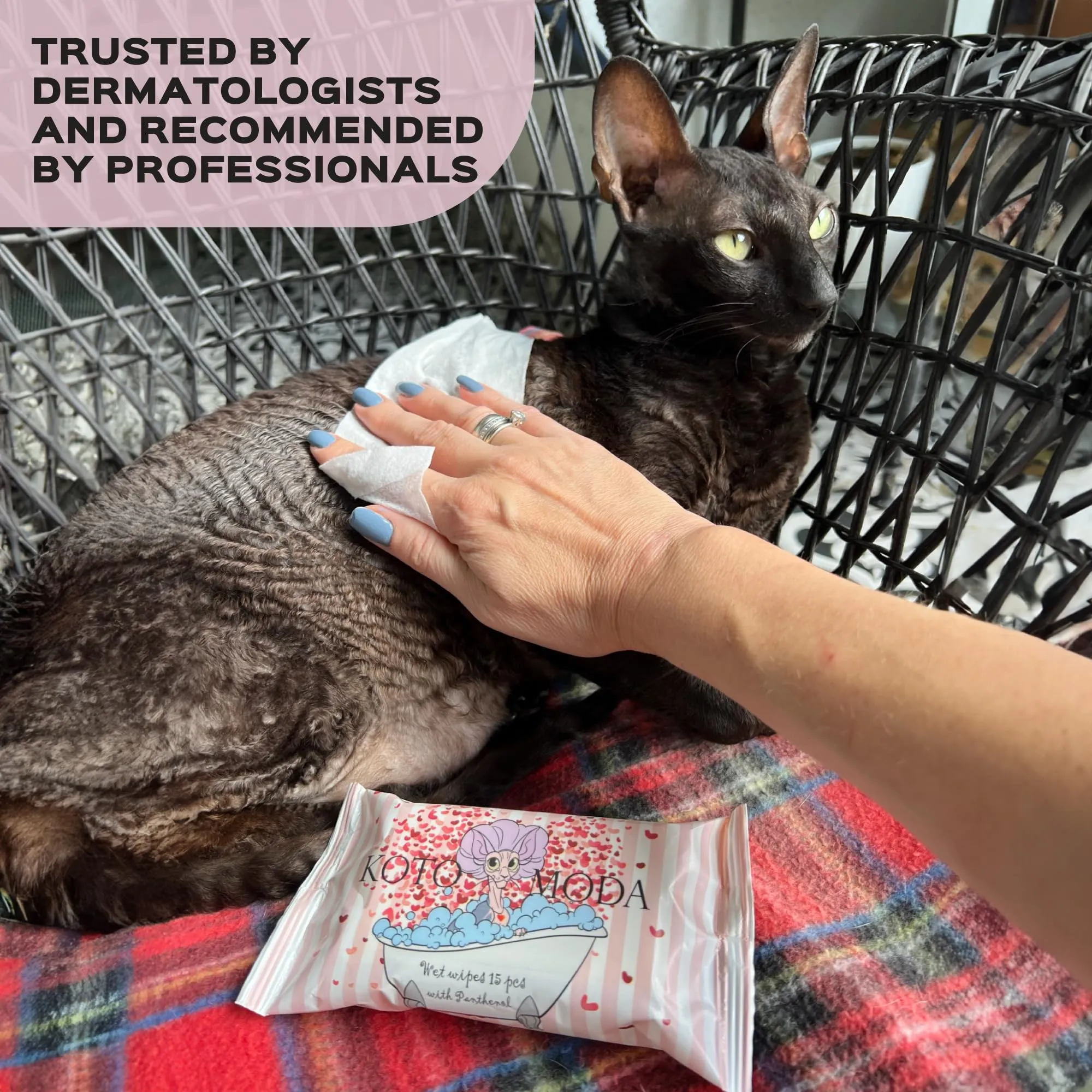 Kotomoda Salviette umidificate con pantenolo per Gatto sfinge, 16 confezioni/240 pezzi - immagine 7