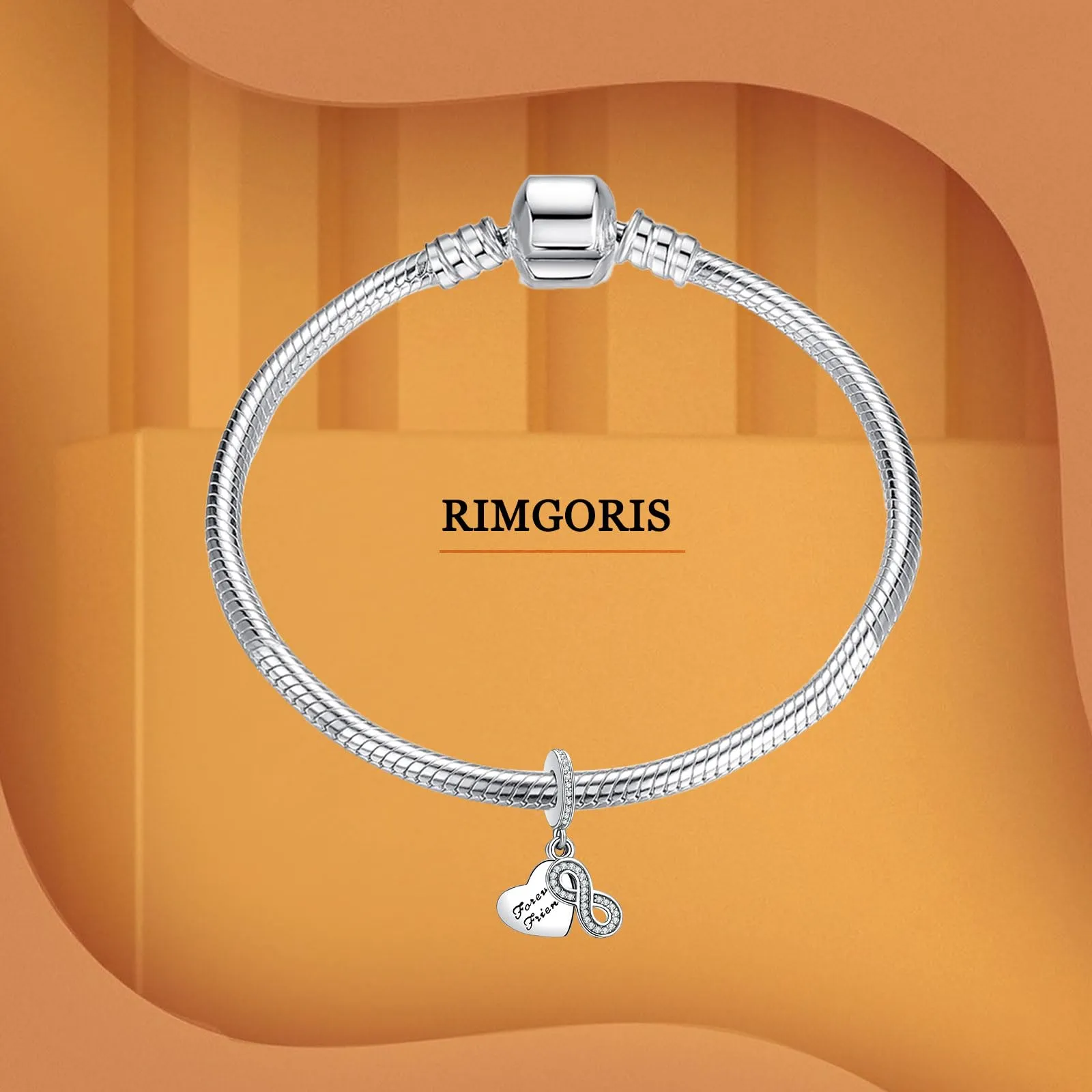Rimgoris Argento 925 Charm per Donna Bracciali e Collana Forever Friendship - immagine 3
