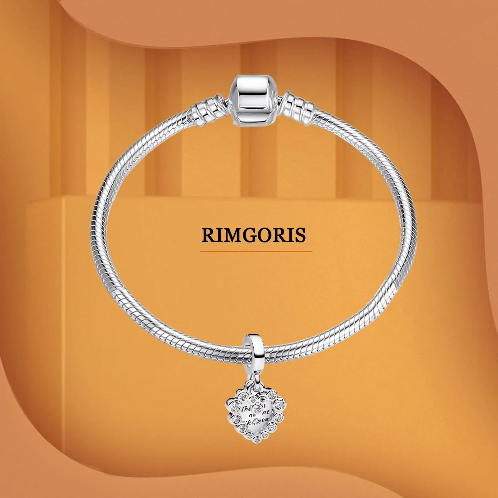 Rimgoris 925 Sterling Silver Heart Pendant Charm with Zirconia for Women's Bracelets and Necklaces - immagine 3