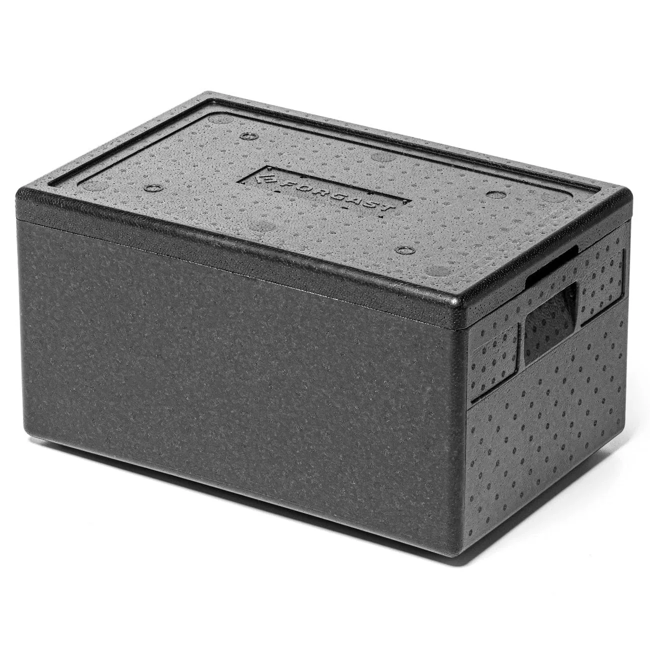 Forgast Scatola Termica Piocelan 47,5L GN 1/1 Contenitore Isotermico - immagine 1