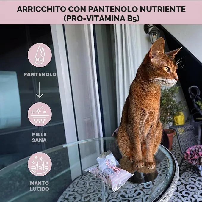 Kotomoda Salviette Umidificate con Pantenolo per Gatti Sphynx e Pelo Corto, 5 Pack / 75 Pezzi - immagine 3