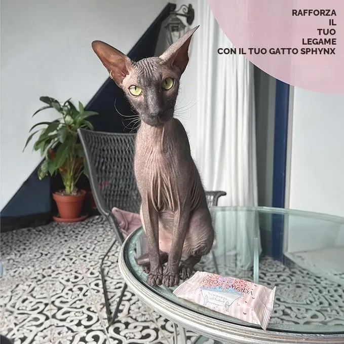 Kotomoda Salviette Umidificate con Pantenolo per Gatti Sphynx e Pelo Corto, 5 Pack / 75 Pezzi - immagine 6