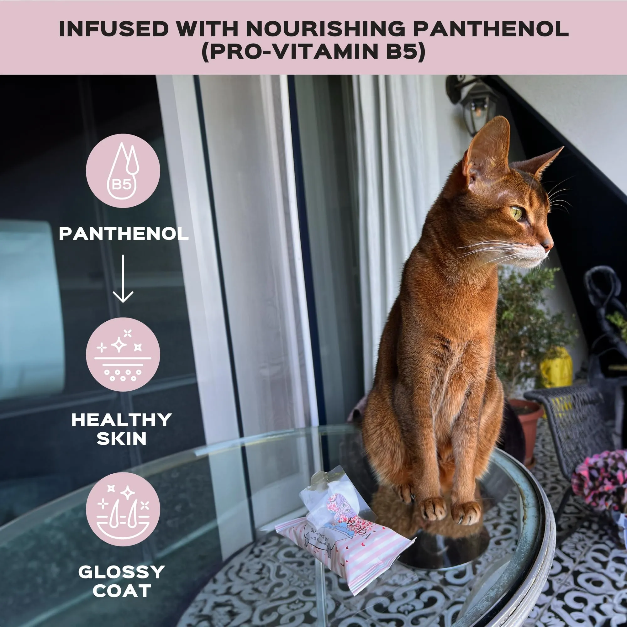 Kotomoda Salviette umidificate con pantenolo per gatto sfinge, 15 pezzi - immagine 3