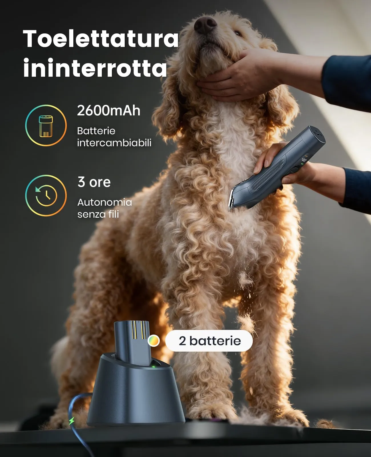 oneisall Tosatrice Professionale per Cani e Gatti a pelo lungo, con 2 Batterie Rimovibili e Pettini in Acciaio Carboniato, Blu - immagine 3