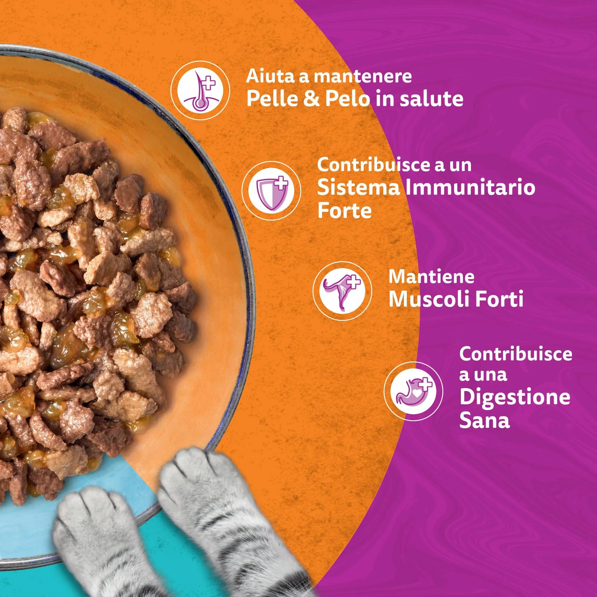 Whiskas Duo Cibo Umido in Gelatina per Gatti Adulti Mari & Monti 4x85g, confezione da 13 - immagine 5