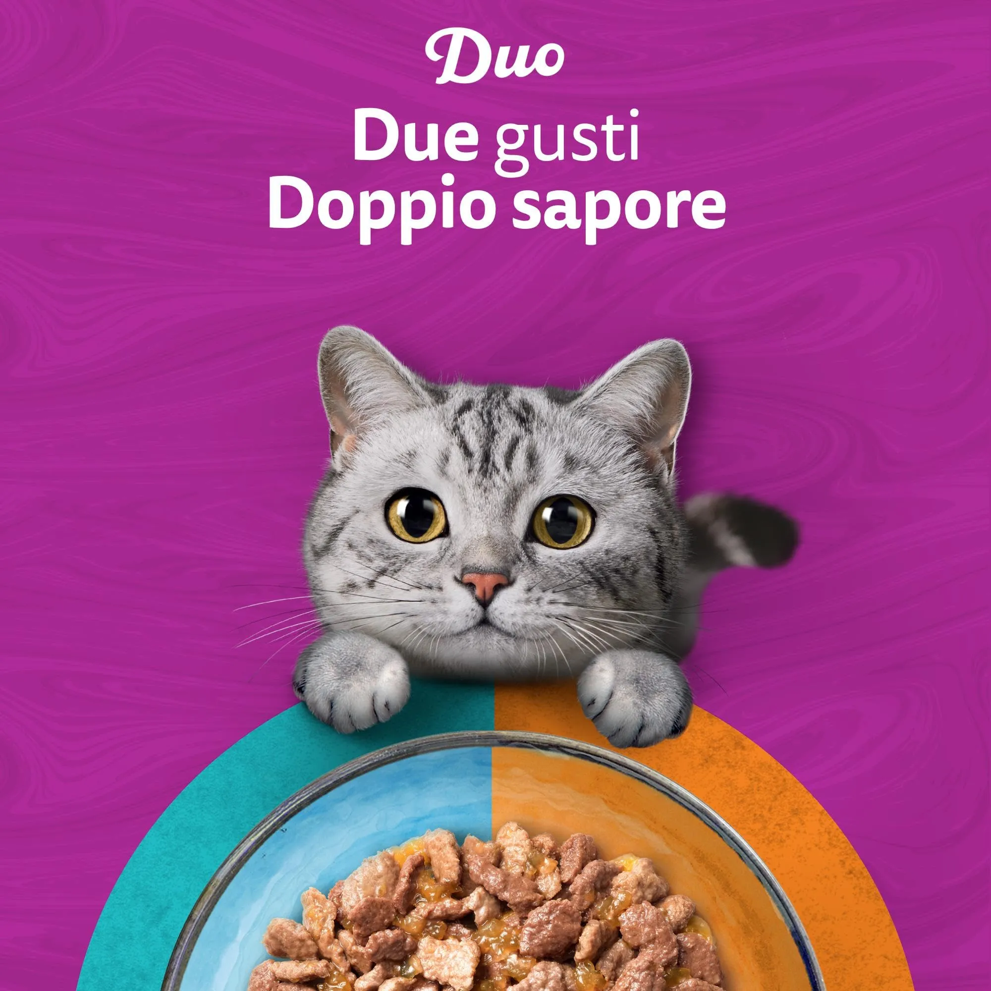 Whiskas Duo Cibo Umido in Gelatina per Gatti Adulti Mari & Monti 4x85g, confezione da 13 - immagine 7