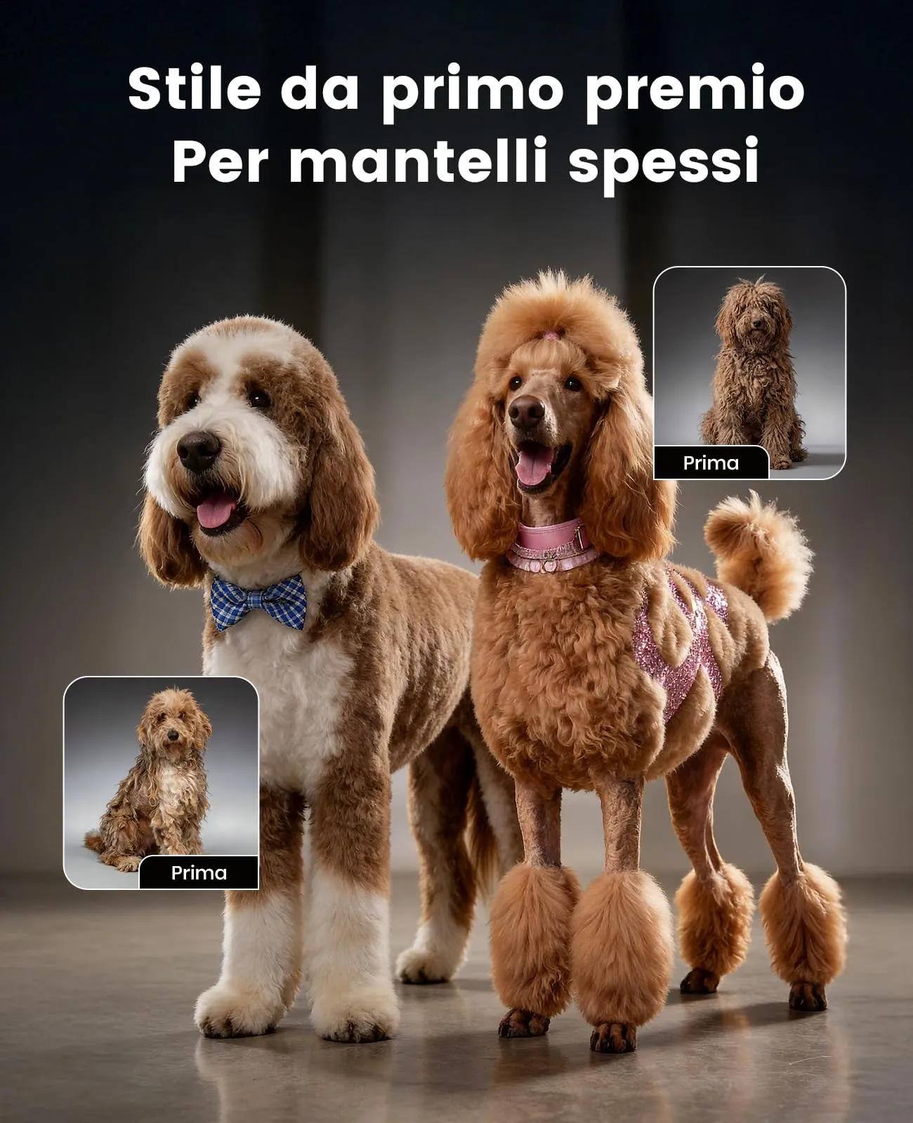 oneisall Tosatrice Professionale per Cani e Gatti a Pelo Lungo, Batteria Rimovibile e Pettini in Acciaio al Carbonio - immagine 9