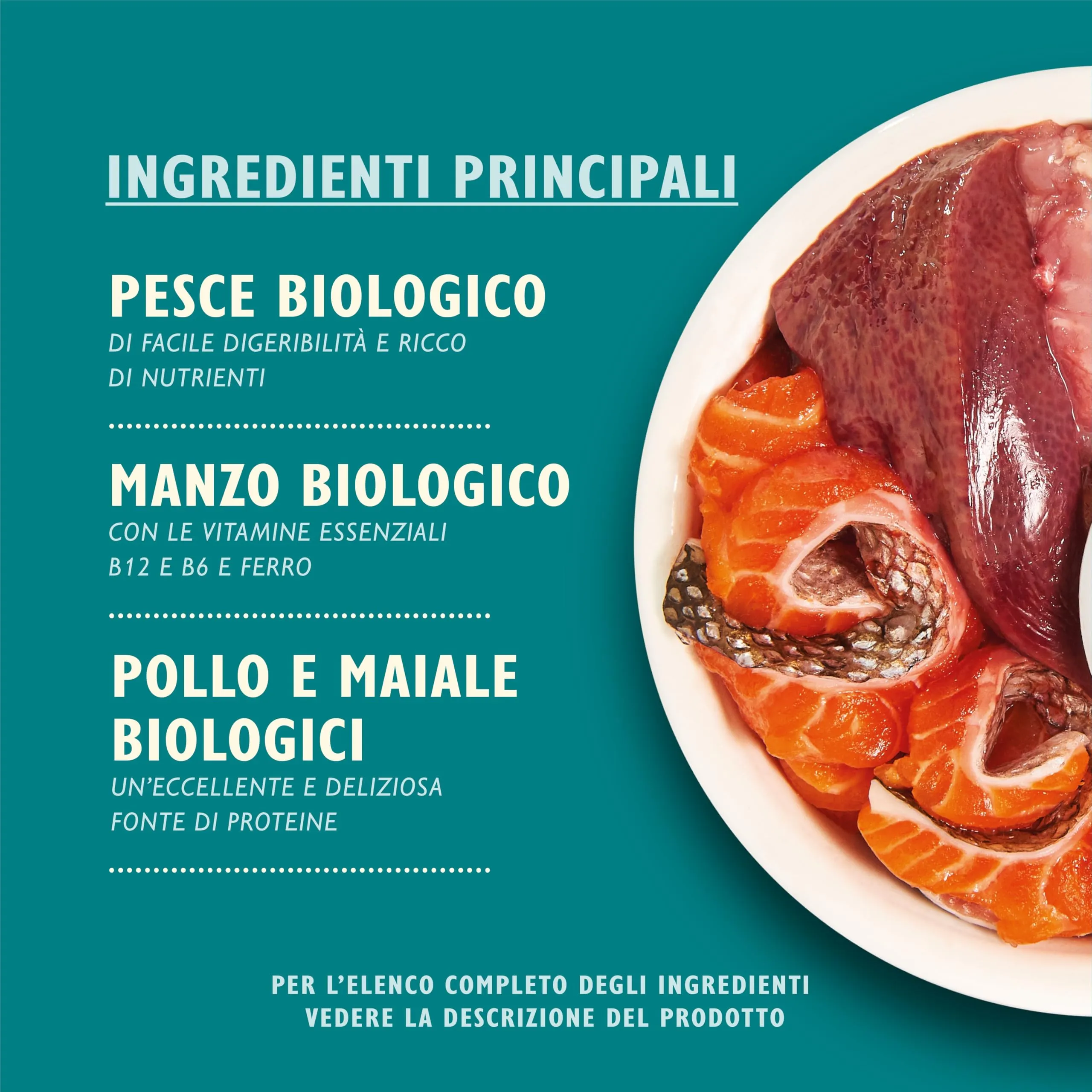 Lily's Kitchen Paté Umido per Gatti Adulti Pesce Biologico Senza Cereali, 19 x 85g - immagine 2