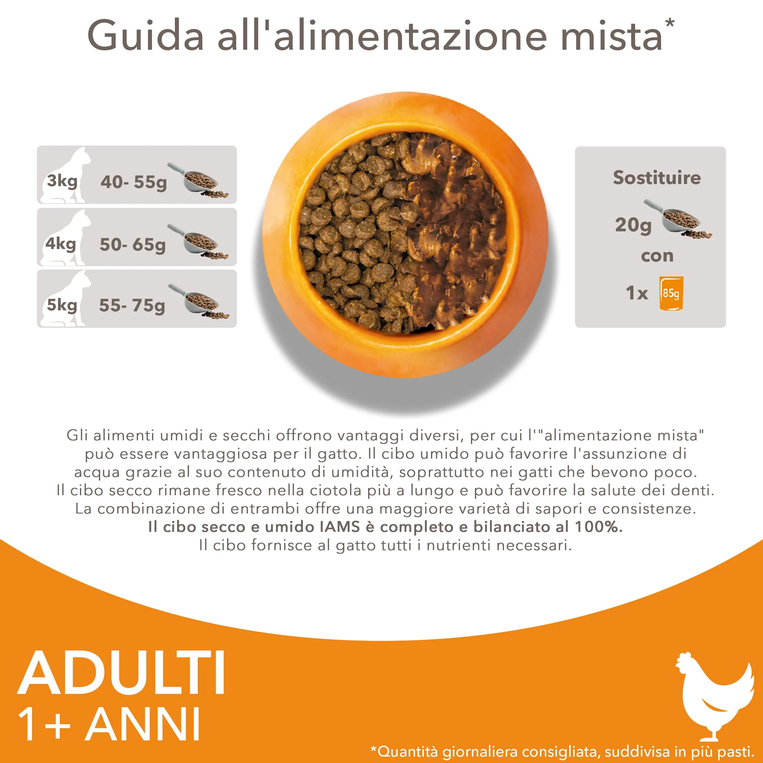 IAMS Cibo secco per gatti 1-6 anni con pollo fresco, 10 kg - immagine 6