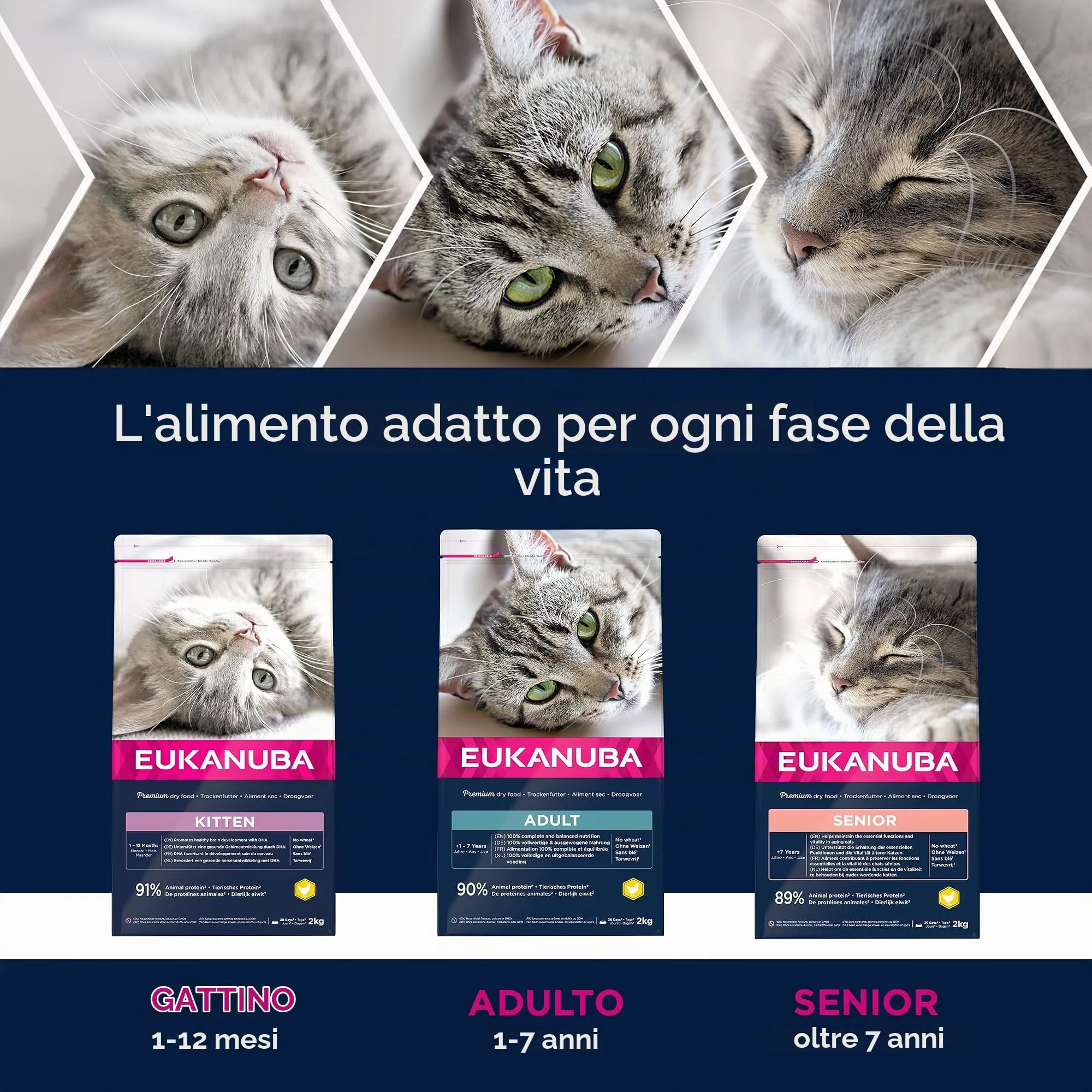 Eukanuba Crocchette Gatti Adulti con Pollo Fresco, 10 kg - immagine 6