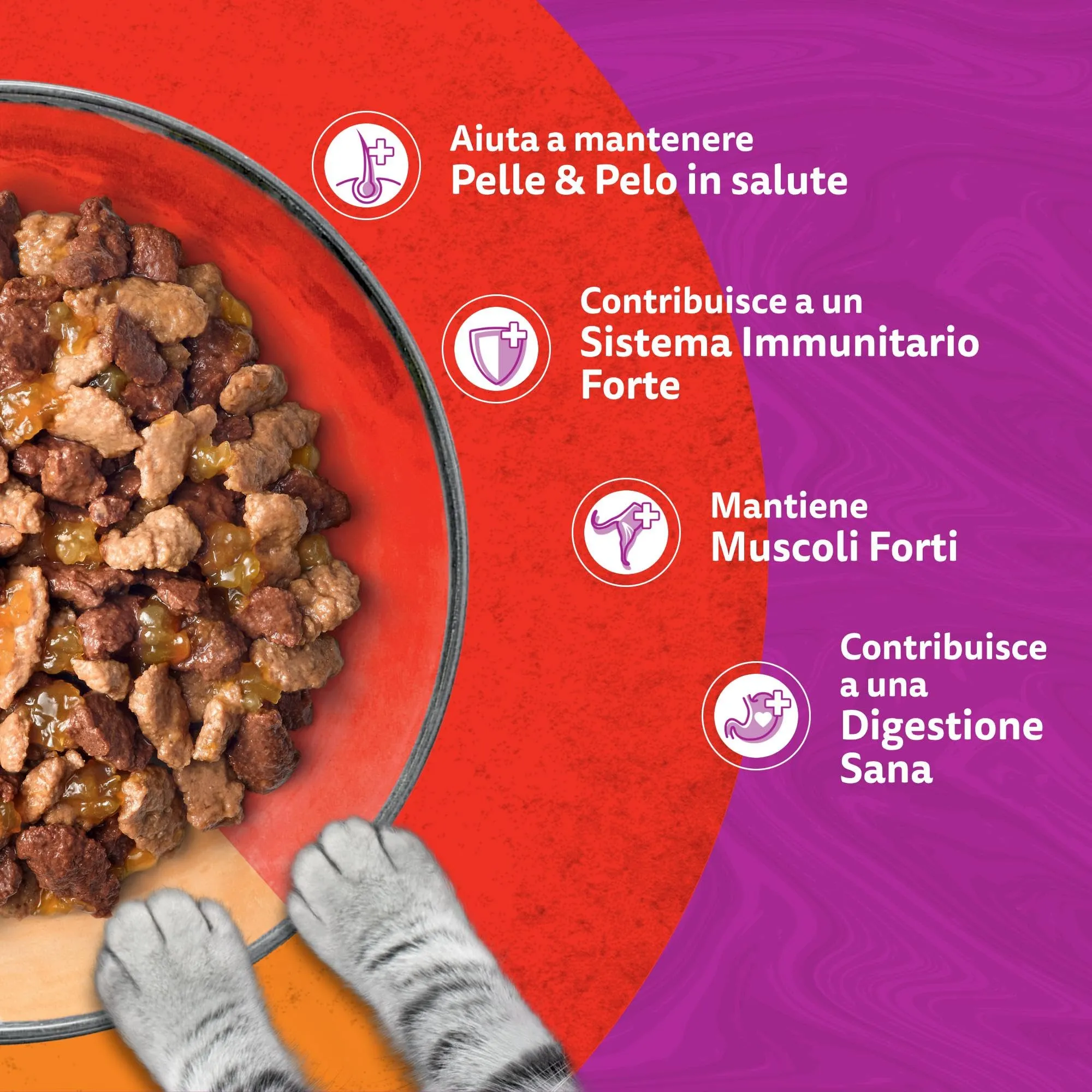 Whiskas Duo Cibo Umido in Gelatina per Gatti Adulti, Mix Gustoso, 4x85g, Confezione da 13 - immagine 5