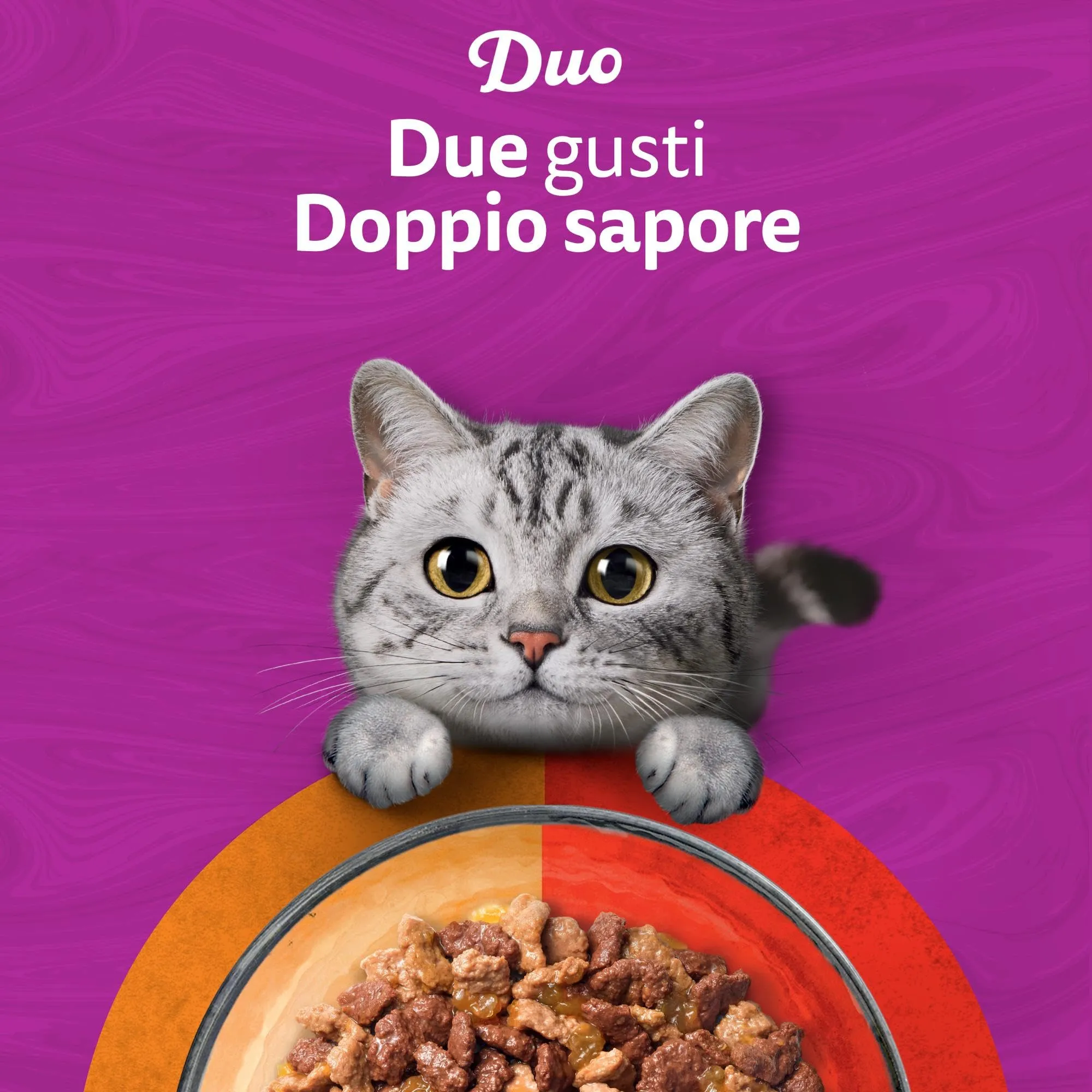Whiskas Duo Cibo Umido in Gelatina per Gatti Adulti, Mix Gustoso, 4x85g, Confezione da 13 - immagine 7