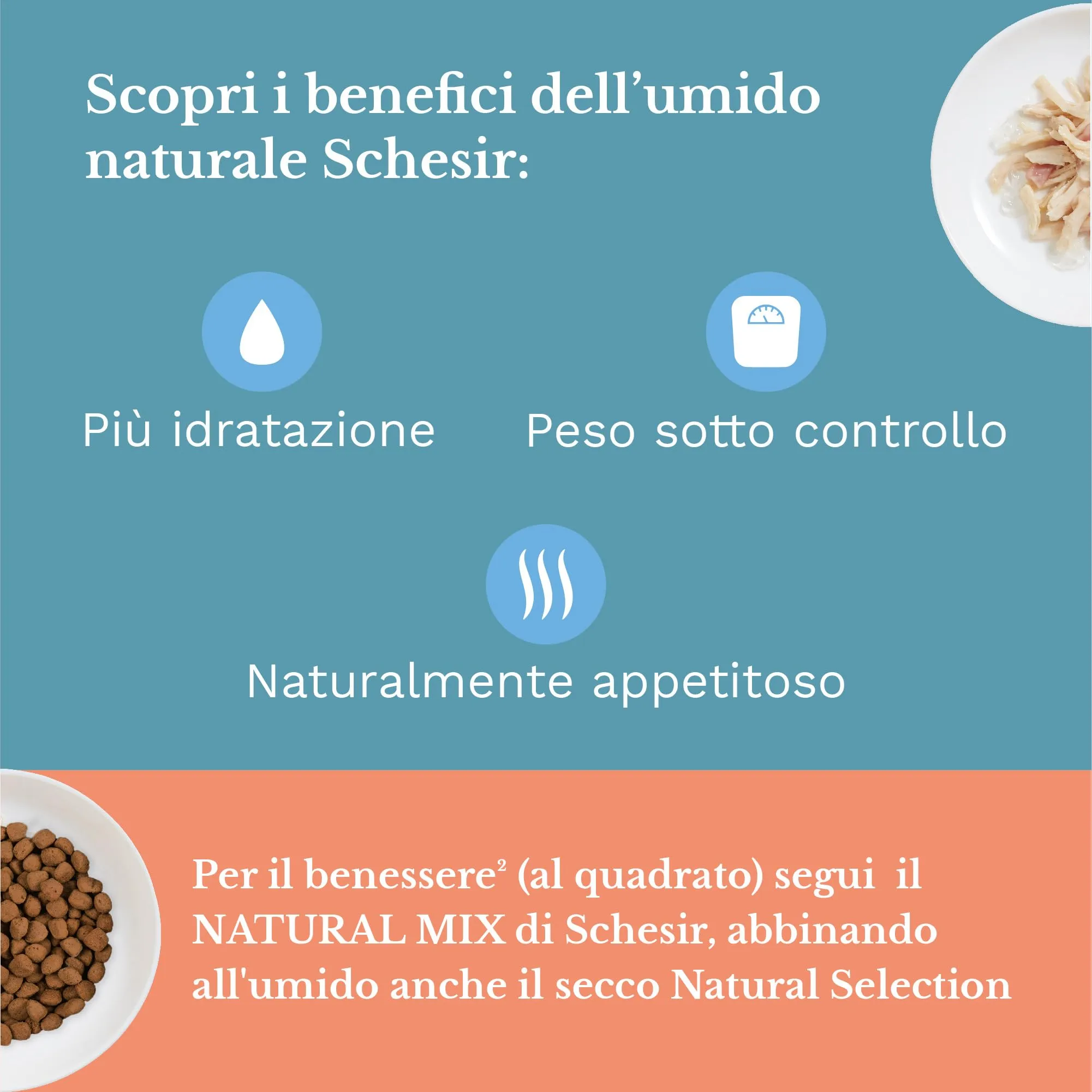 Schesir Cibo Umido per Gatti Adulti, Tonnetto e Alghe in Filetti e Gelatina, 6 x 85g - immagine 4