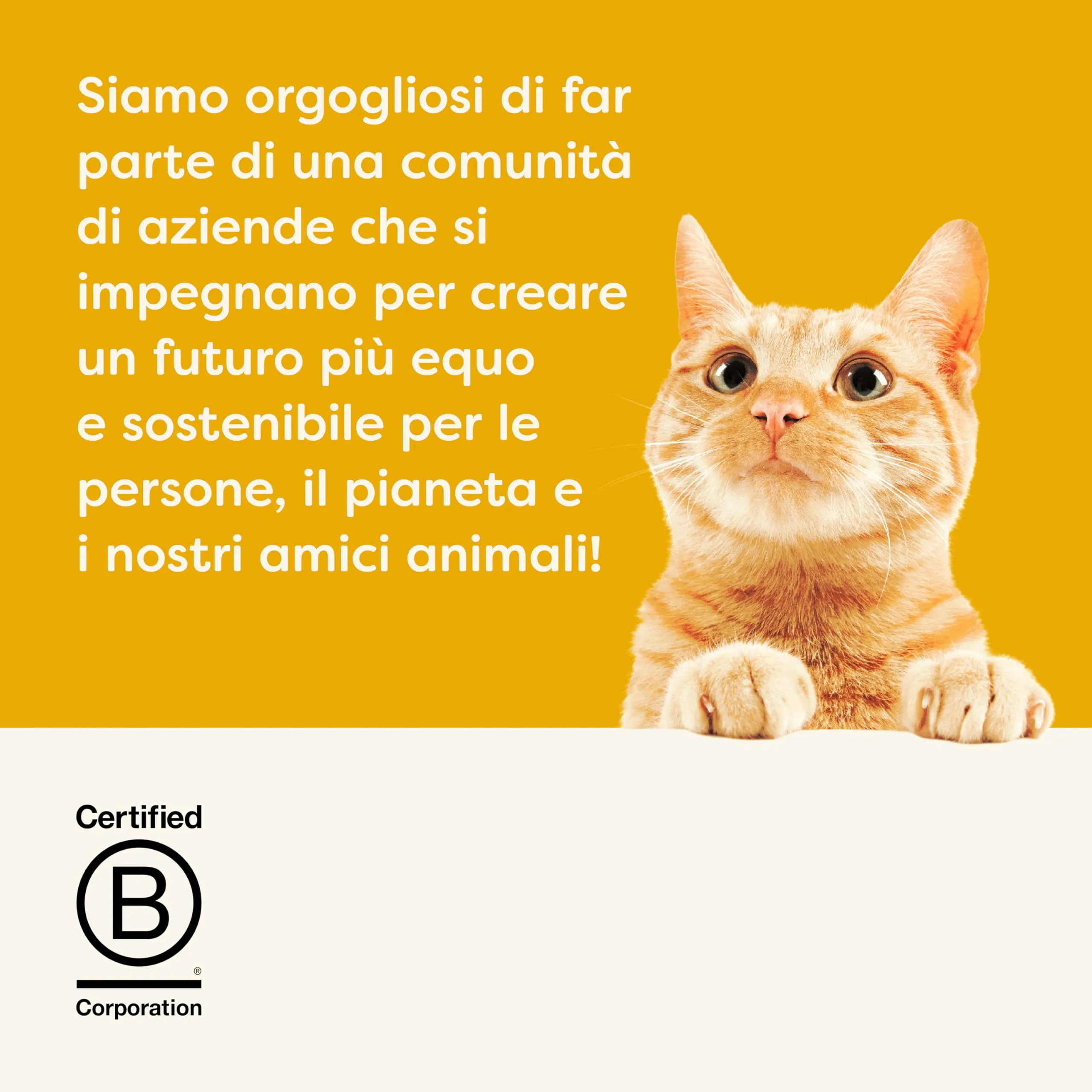 Applaws Snack Cremoso Lickable Senza Cereali al Pollo per Gatti e Gattini, 32 x 15g - immagine 7