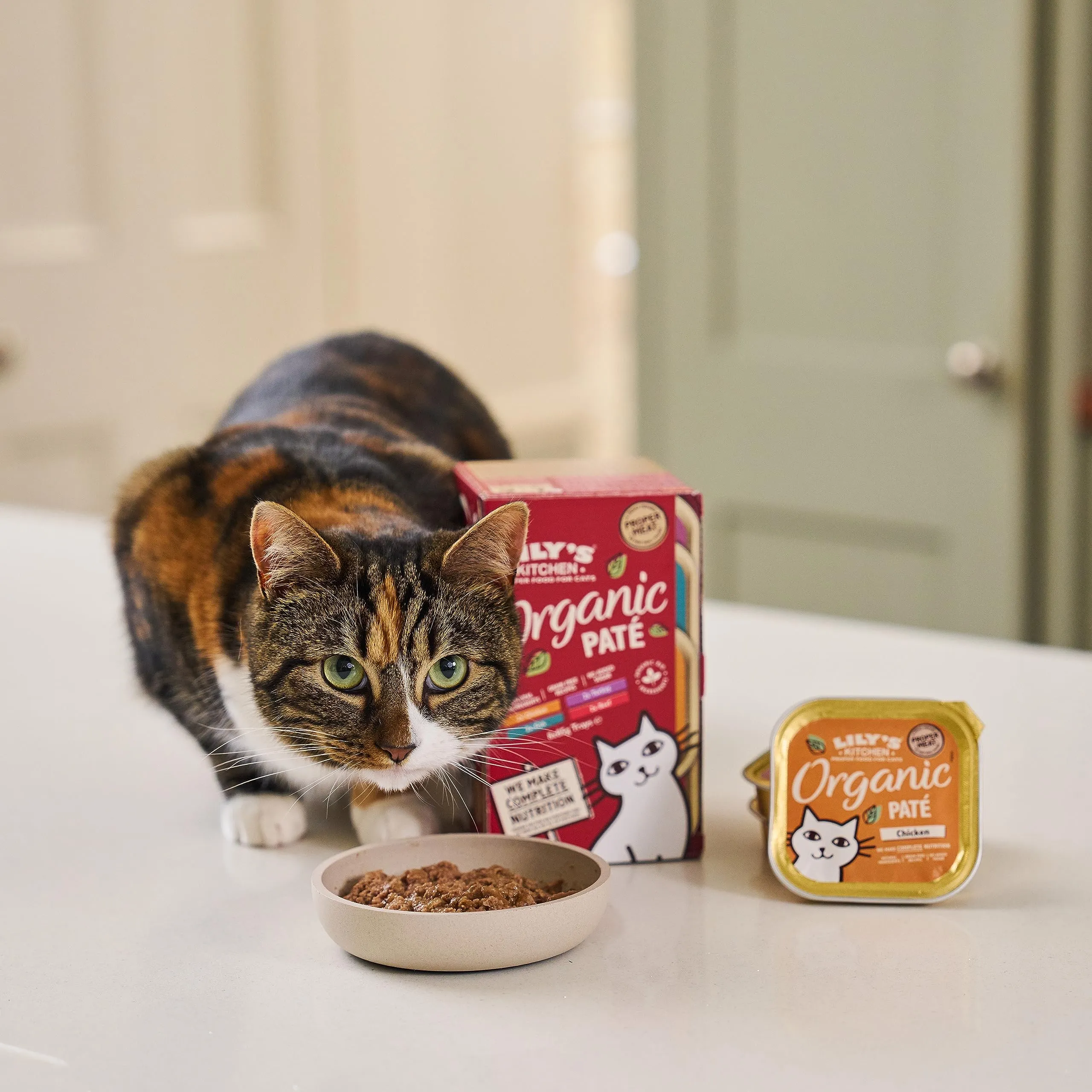Lily's Kitchen Cibo umido per gatti adulti, Paté biologico senza cereali, 4 confezioni x 8 vaschette x 85g - immagine 5