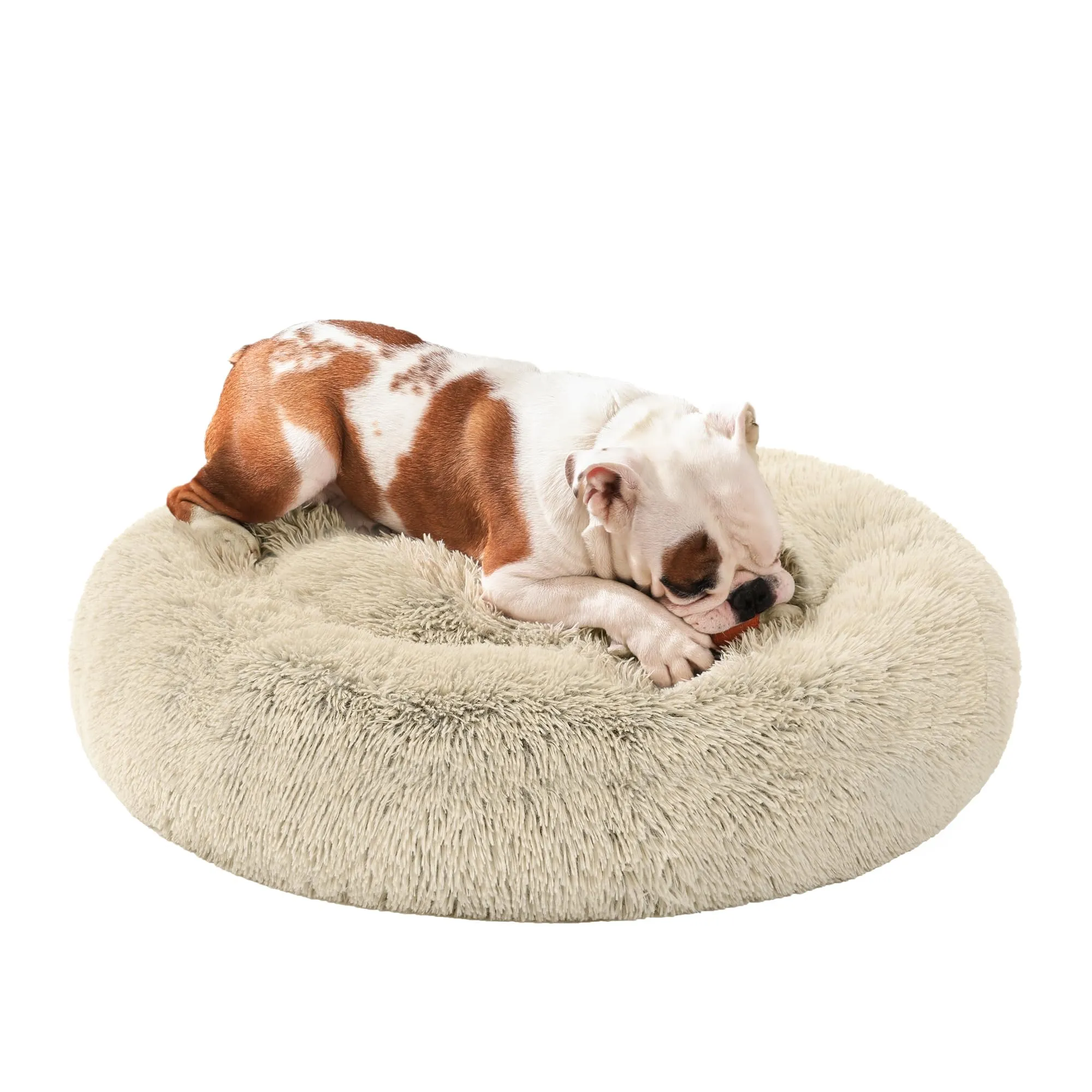 Feandrea Cuccia per Cane in Peluche Morbida, 80 cm - immagine 1