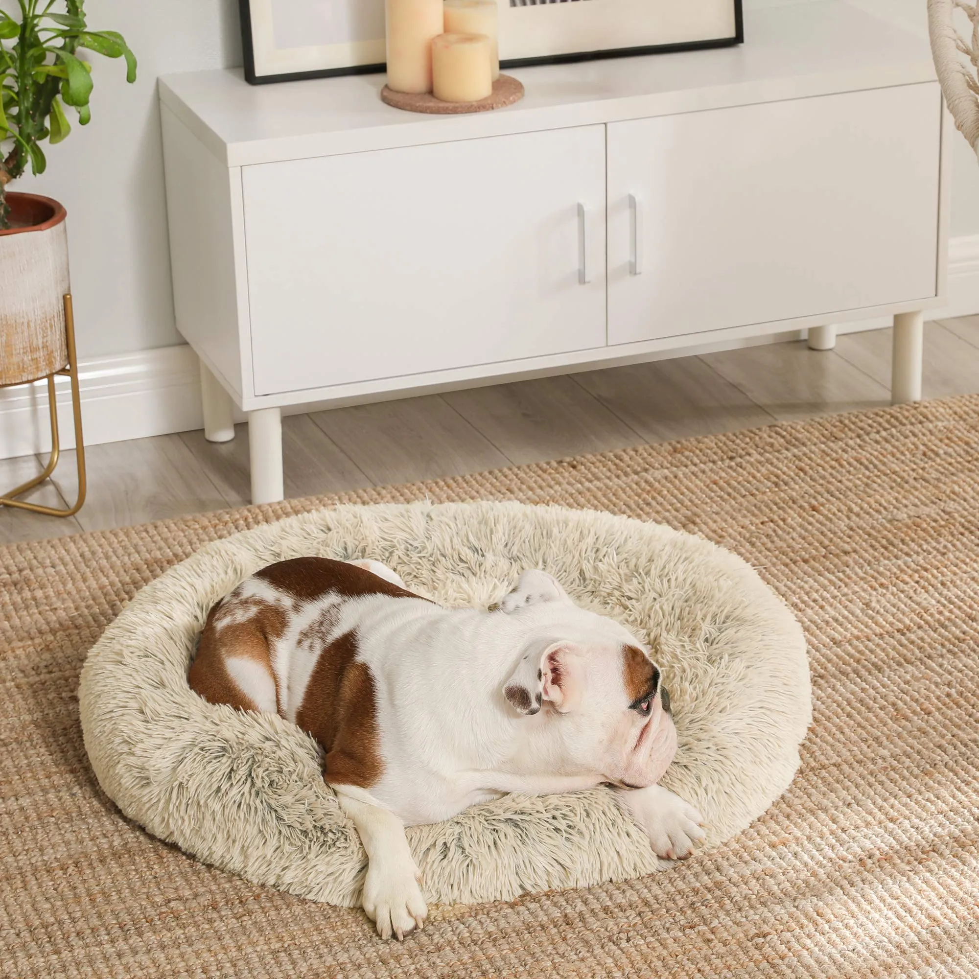 Feandrea Cuccia per Cane in Peluche Morbida, 80 cm - immagine 3