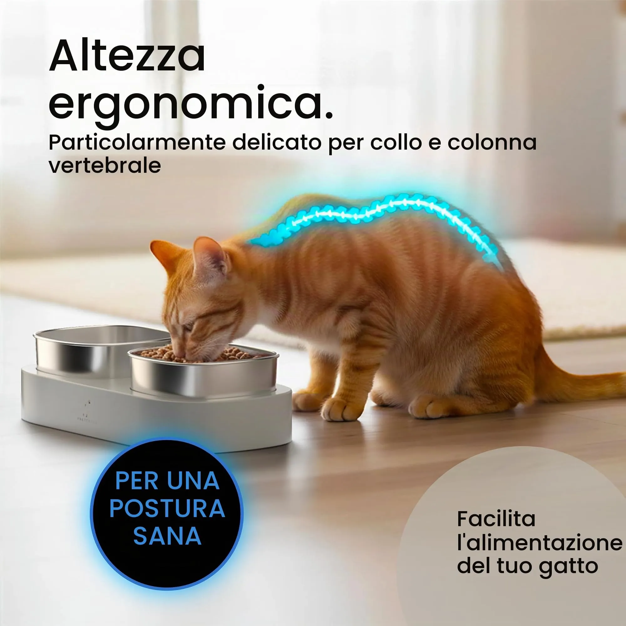 Pretty Paw Ciotole per Gatti Rialzate in Acciaio Inox, Grigio - immagine 4