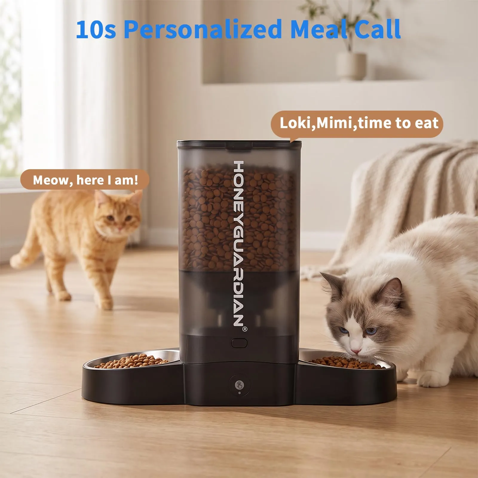 HoneyGuaridan Distributore Automatico Cibo Gatti Doppia 5L con WiFi 2.4G/5G - immagine 7