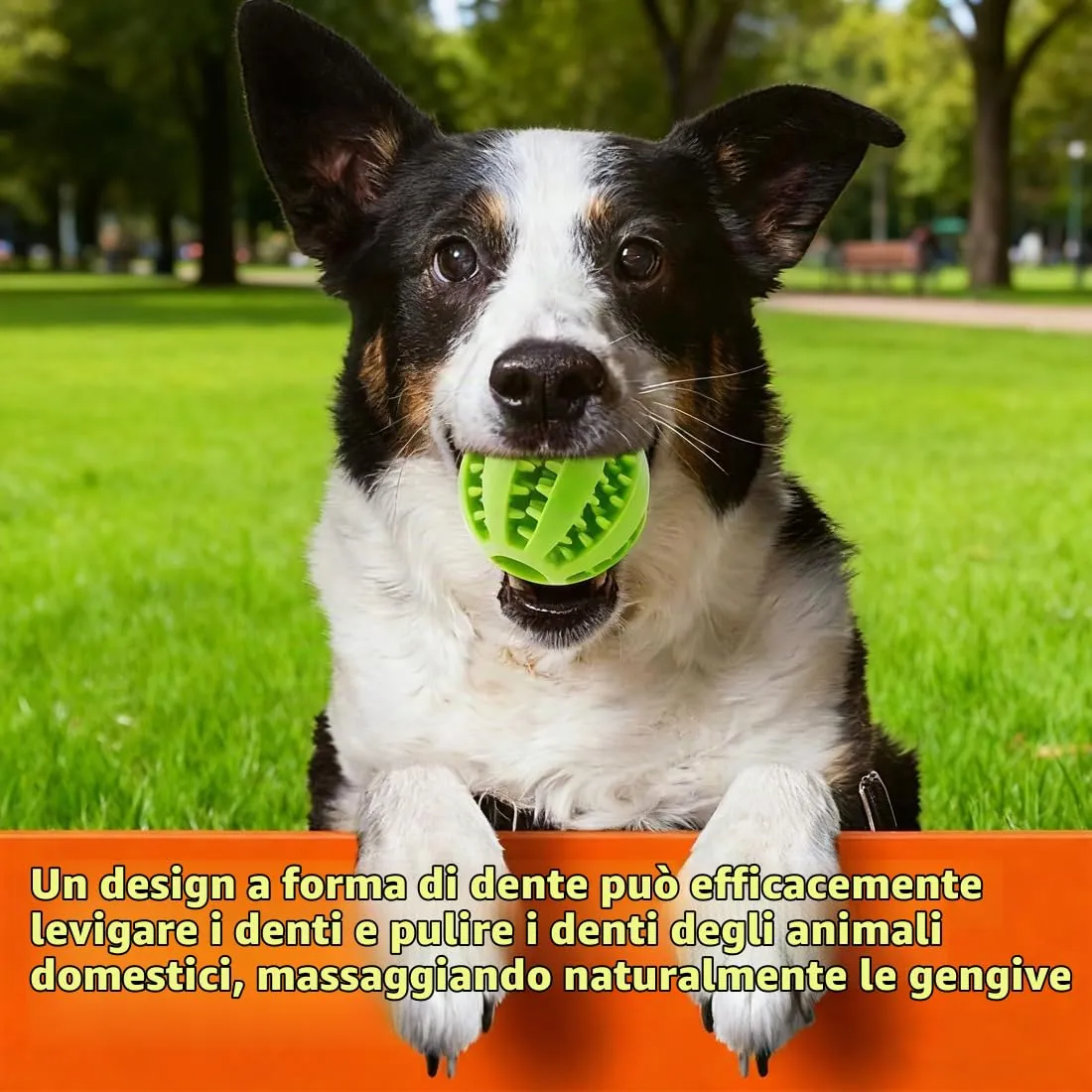 WEGLOK Pallina interattiva in gomma naturale per cani, Giocattolo da masticare e per l'alimentazione - immagine 5