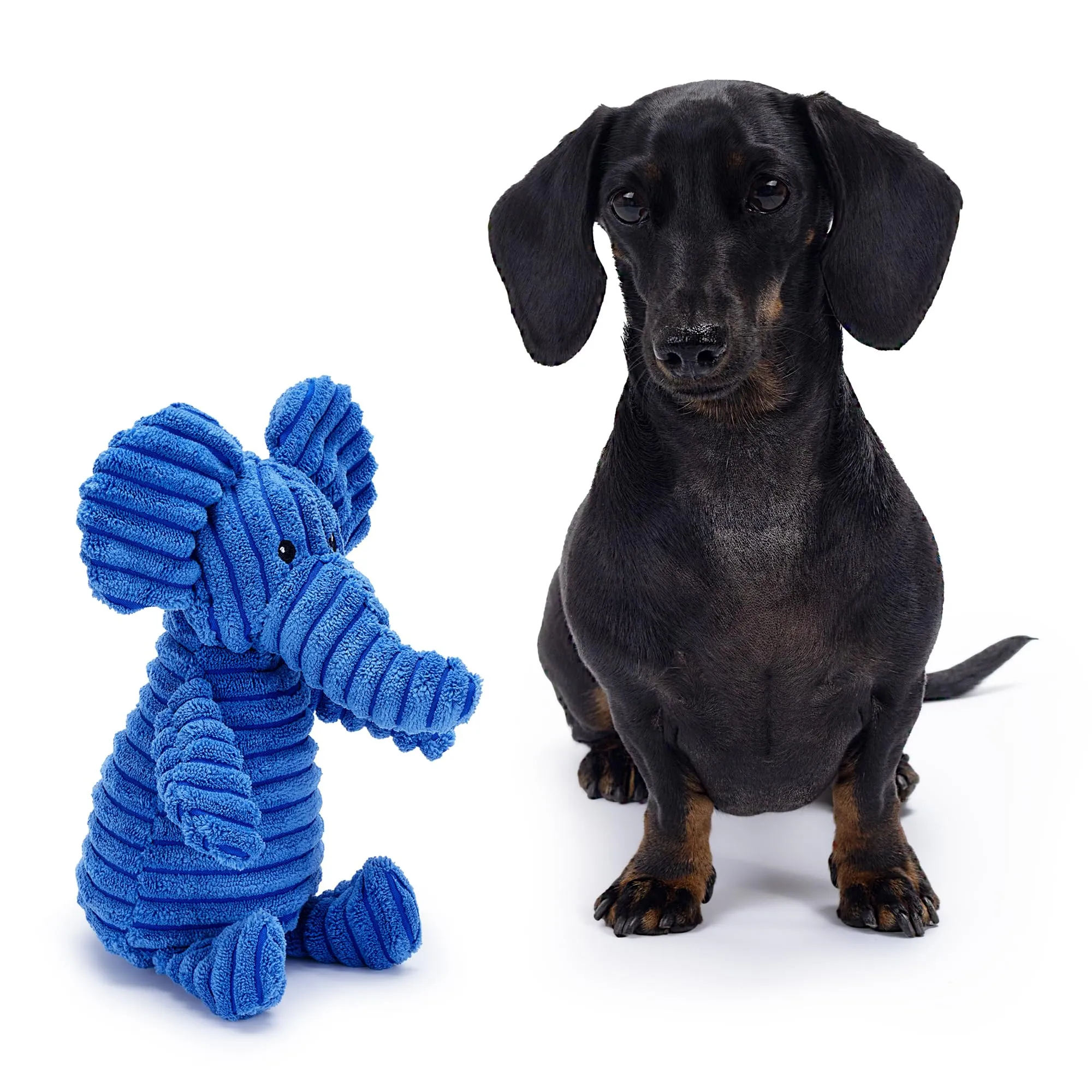 Zappi Co Elefante Blu in Peluche con Squeaker per Cani di Piccola e Media Taglia - immagine 2