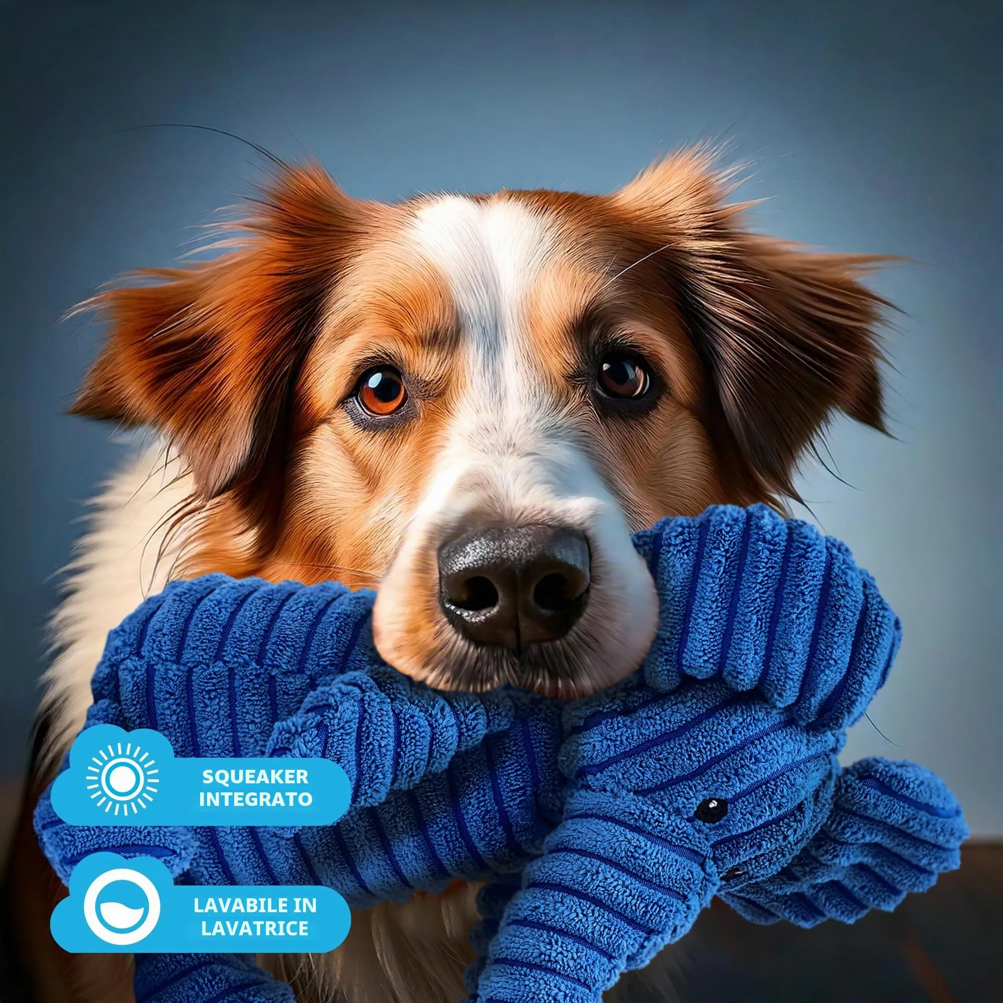 Zappi Co Elefante Blu in Peluche con Squeaker per Cani di Piccola e Media Taglia - immagine 5