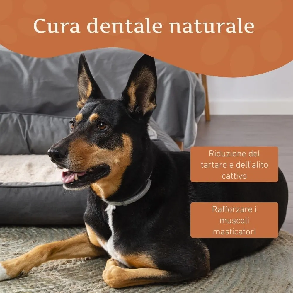 Wildfang Masticativi di Formaggio di Latte di Yak per Cani, Taglia L, Set da 3 pezzi - immagine 8