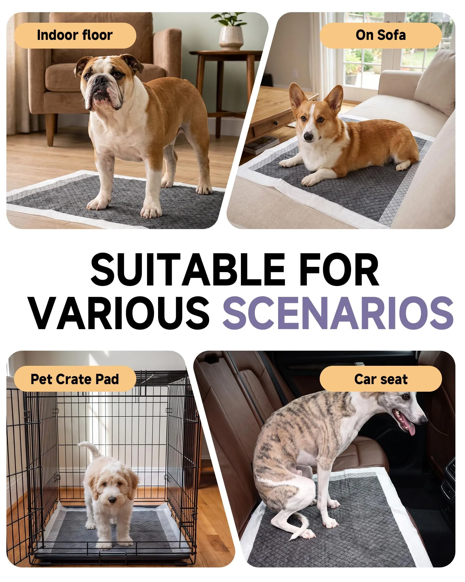 Flying Paws Traversine Cani al Carbone Attivo, 60x90cm, XL, Confezione da 20 - immagine 7