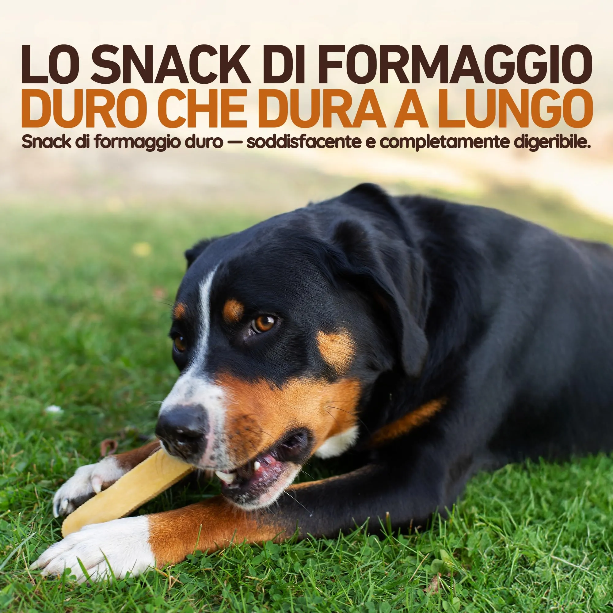 Wildfang Yak Chews Churpi, Formaggio Himalayano 18-24g, set da 3 - immagine 3