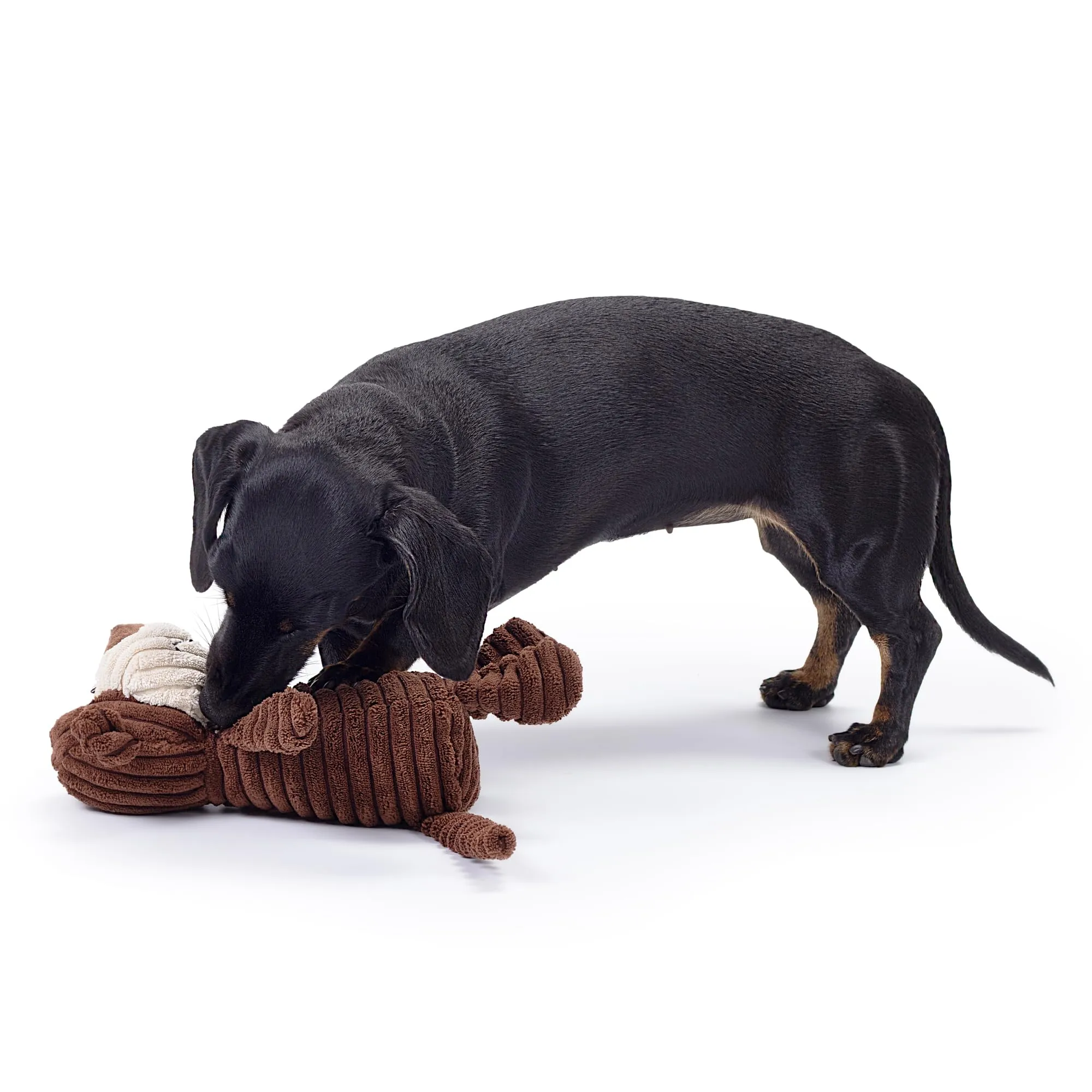 Zappi Co Scimmia in peluche con squeaker per cani di piccola/media taglia - immagine 7