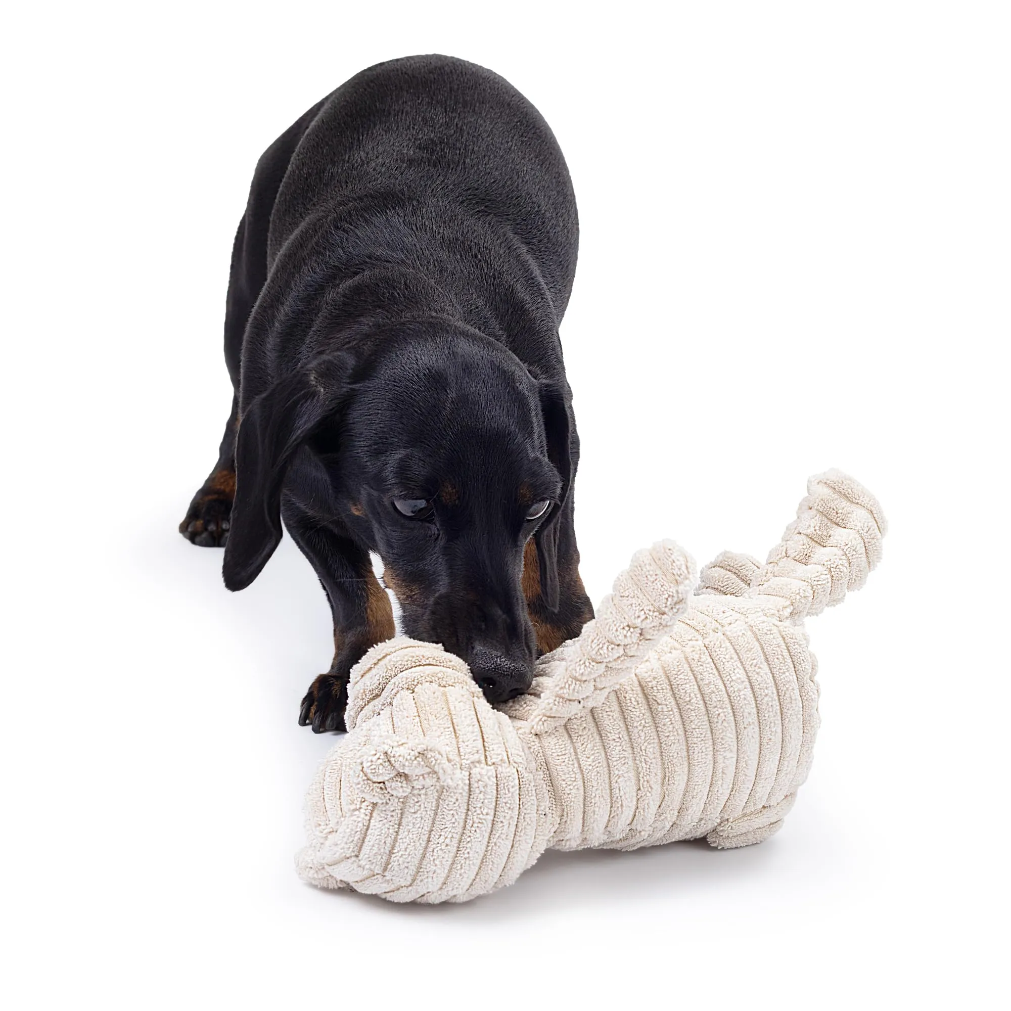 Zappi Co Orso in peluche con squeaker per cani di piccola e media taglia - immagine 3
