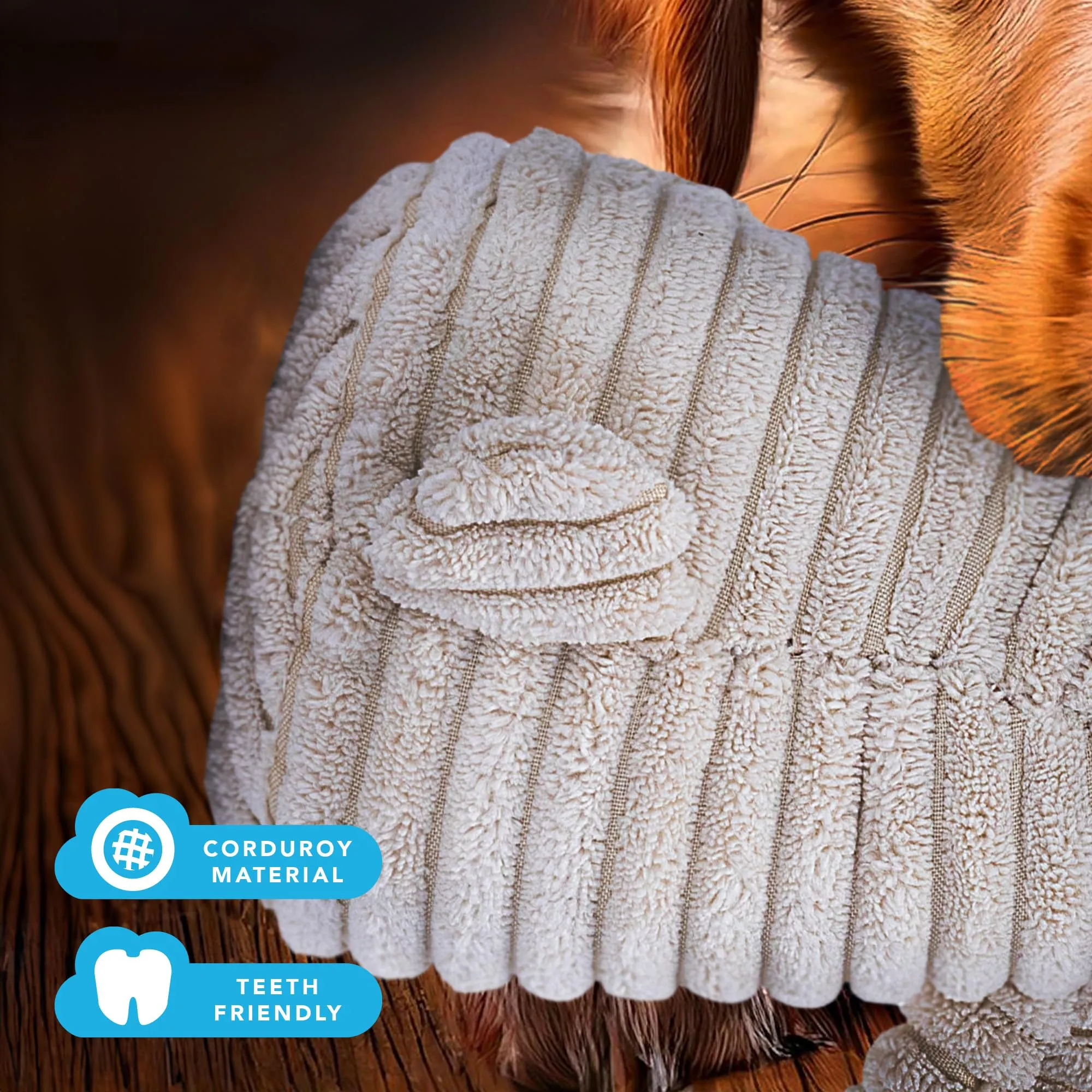 Zappi Co Orso in peluche con squeaker per cani di piccola e media taglia - immagine 4