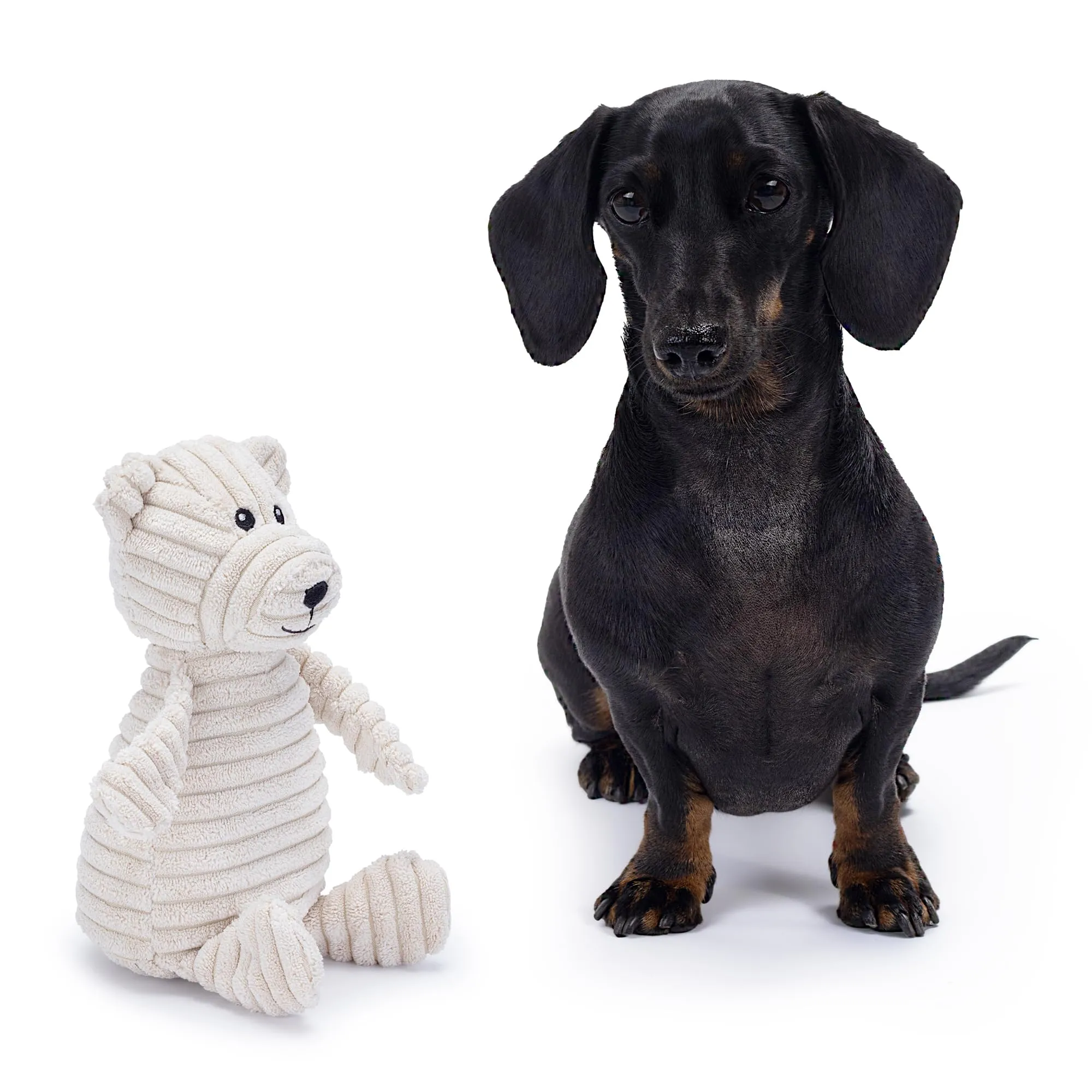 Zappi Co Orso in peluche con squeaker per cani di piccola e media taglia - immagine 8