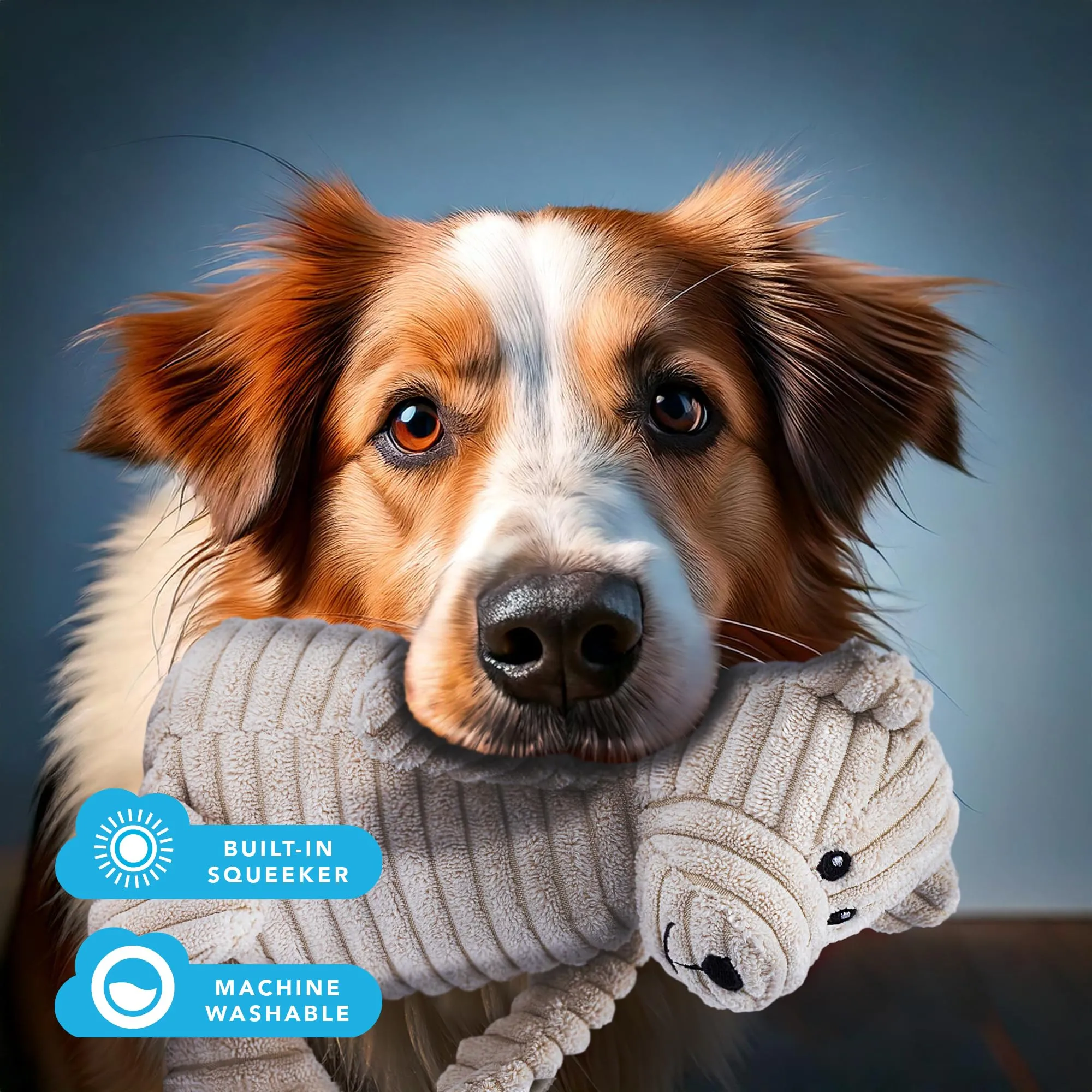 Zappi Co Orso in peluche con squeaker per cani di piccola e media taglia - immagine 9