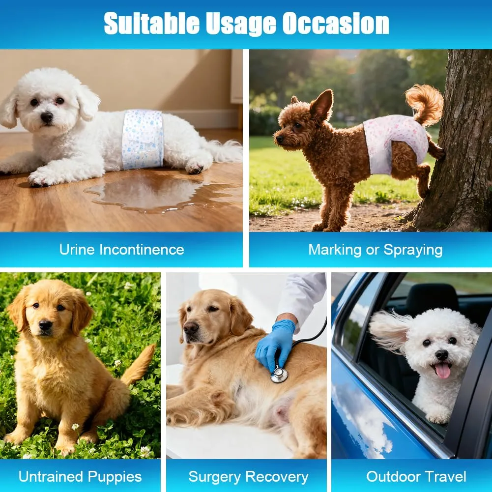 AUYAO Pannolini Monouso per Cani con Indicatore di Umidità e Patch Adesiva, L, Confezione da 20 - immagine 6