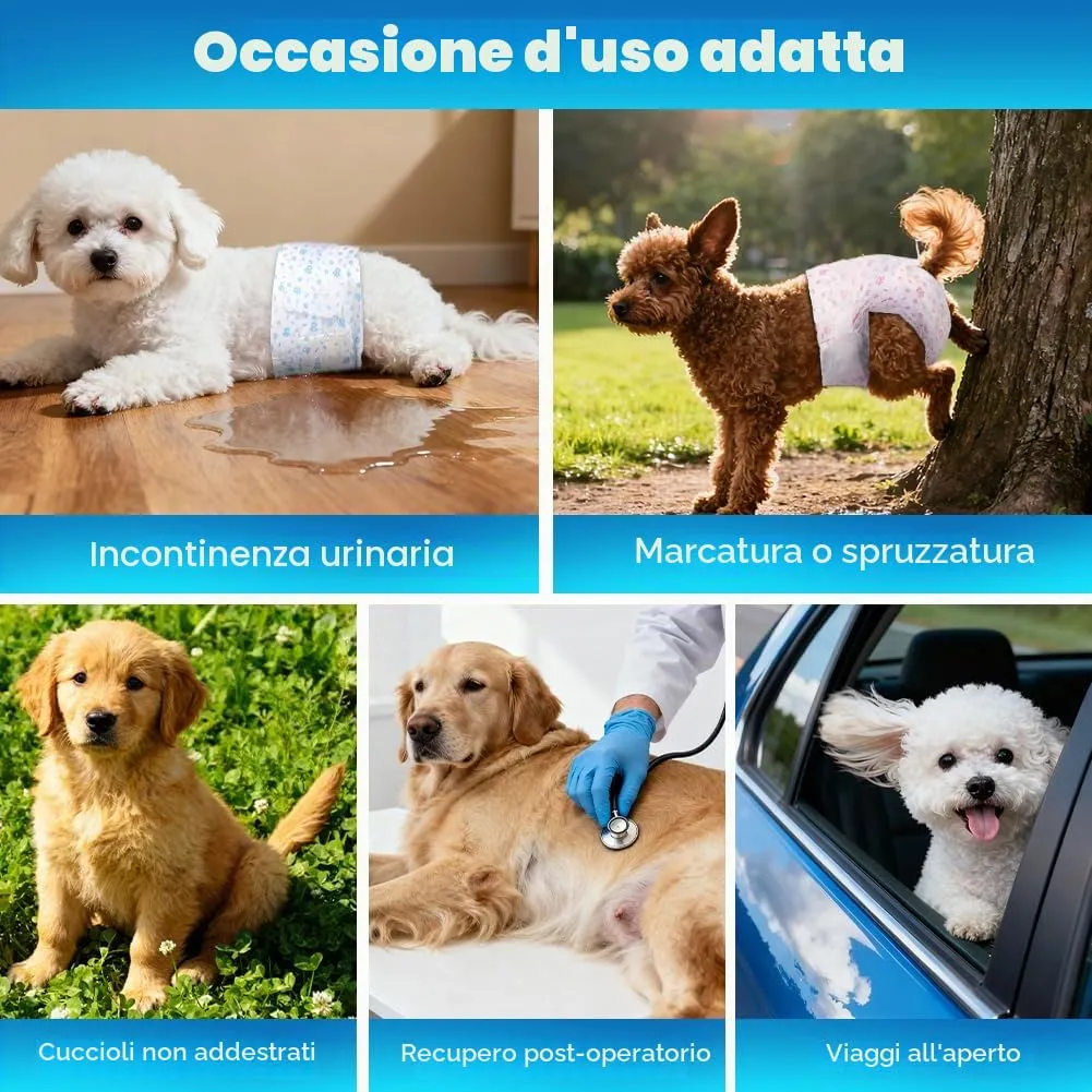 AUYAO Pannolini Monouso per Cani, Indicatore di Umidità e Patch Adesiva, S, confezione da 20 - immagine 8