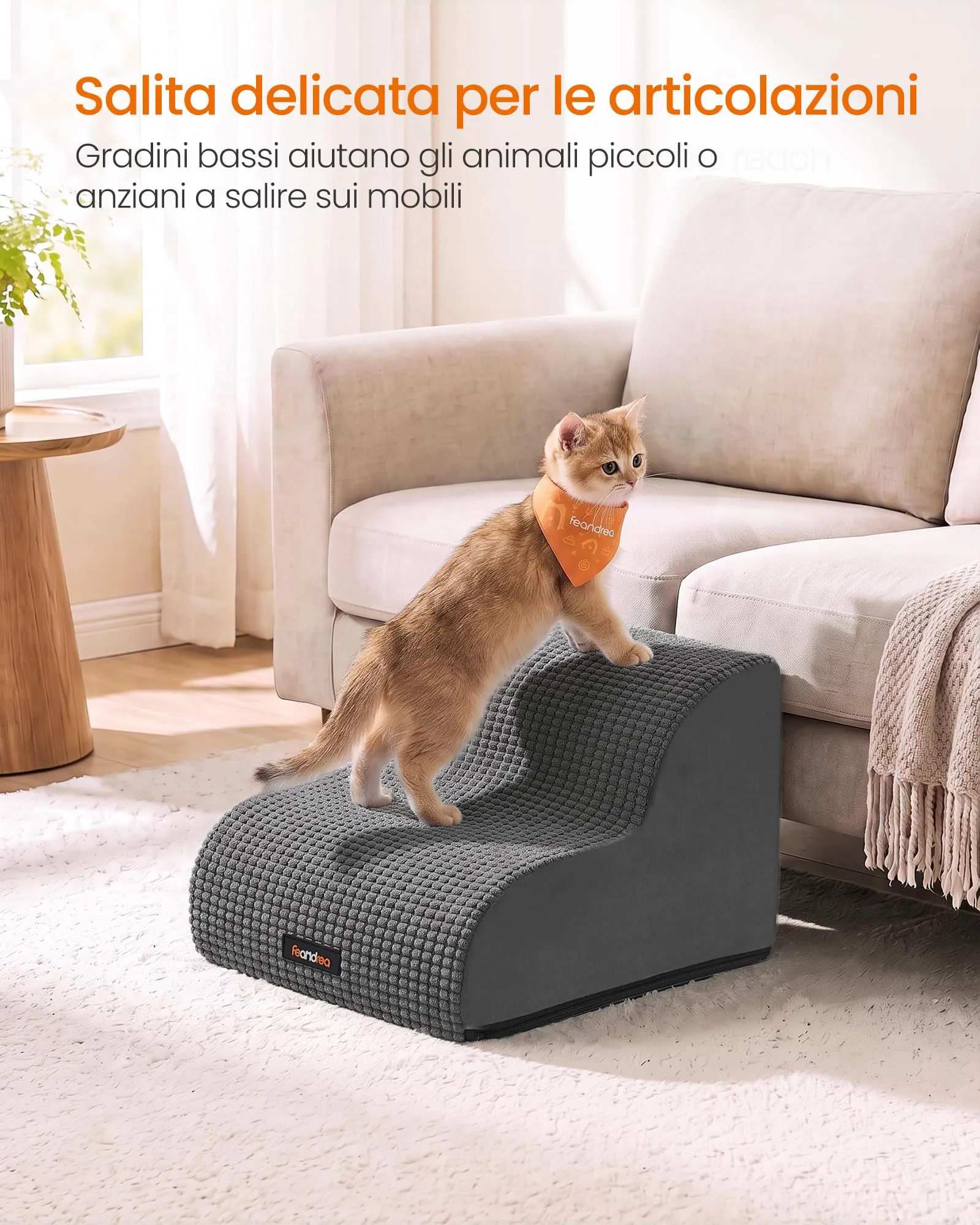 Feandrea Scaletta per Cani, 2 Gradini in Schiuma Antiscivolo, Grigio Ardesia - immagine 7