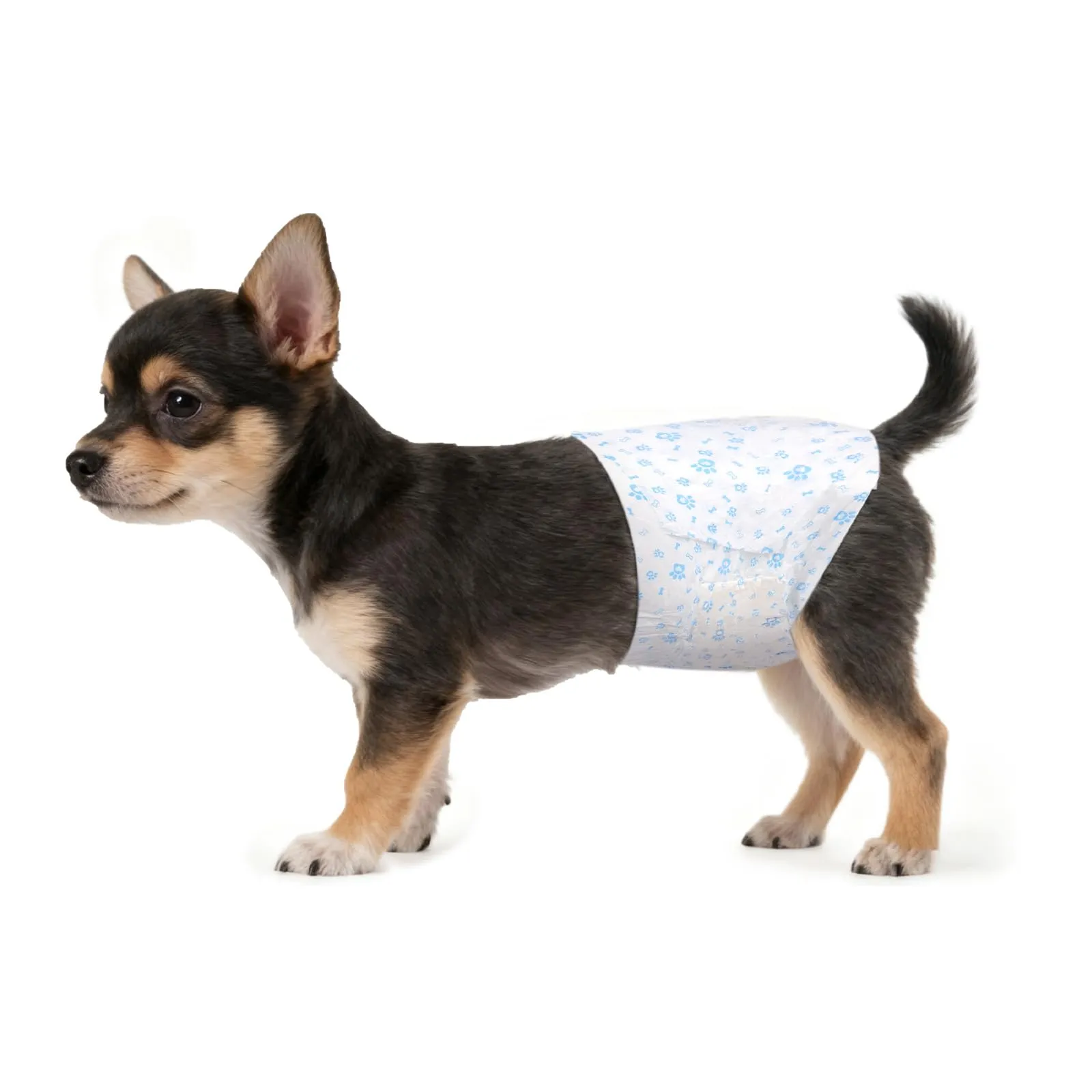 AUYAO Pannolini Monouso per Cani, con Indicatore di Umidità e Patch Adesiva, S, confezione da 20 - immagine 1
