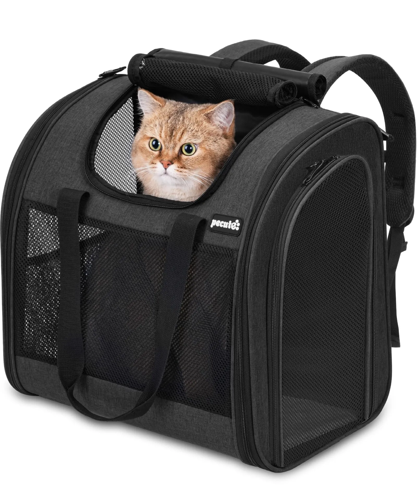 Pecute Zaino per Gatti e Cuccioli, Design Ventilato e Pieghevole, con Cinghia di Sicurezza, Grigio Scuro - immagine 1