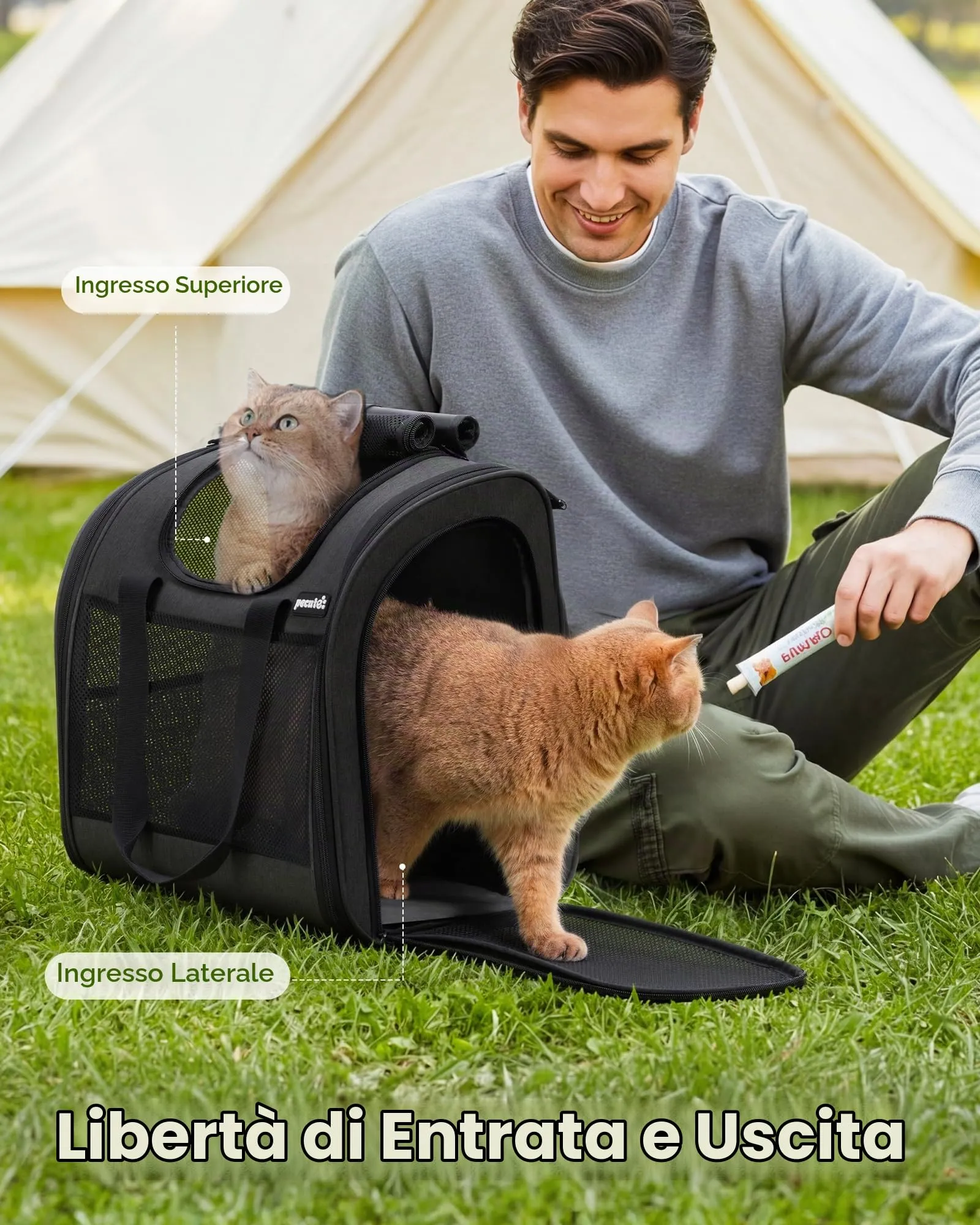 Pecute Zaino per Gatti e Cuccioli, Design Ventilato e Pieghevole, con Cinghia di Sicurezza, Grigio Scuro - immagine 6