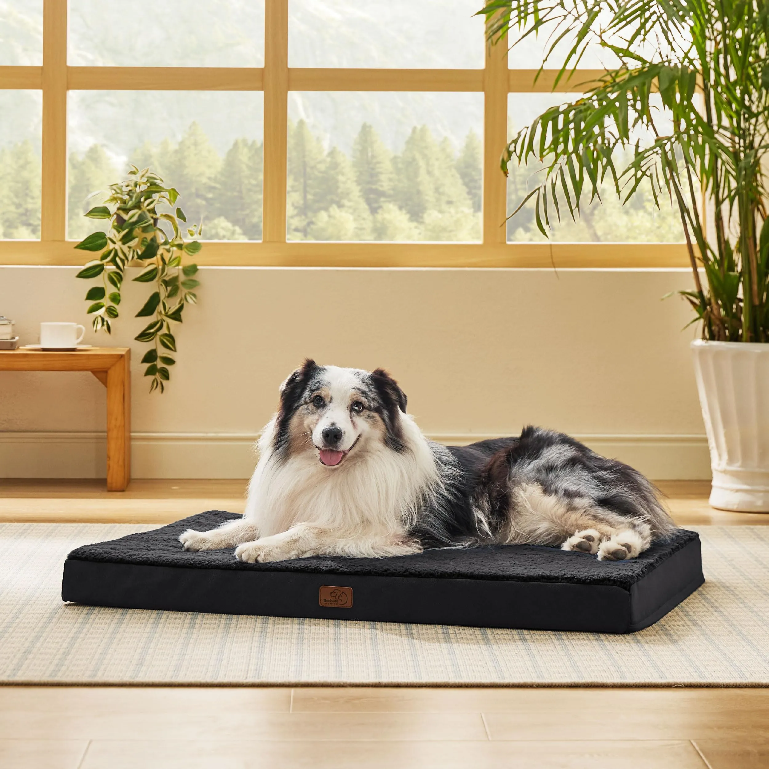 Bedsure Cuccia Cane Sfoderabile Lavabile 104x74x9 cm Nero - immagine 6