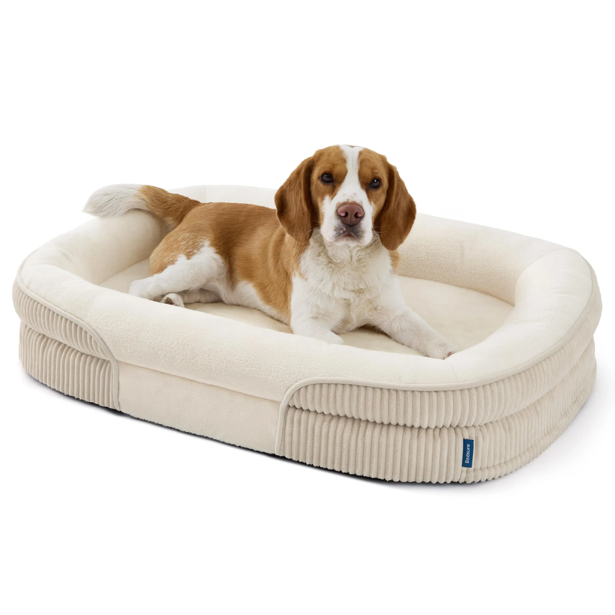 Bedsure Cuccia Ortopedica per Cane di Grande Taglia, 89x64x18cm, Crema - immagine 1