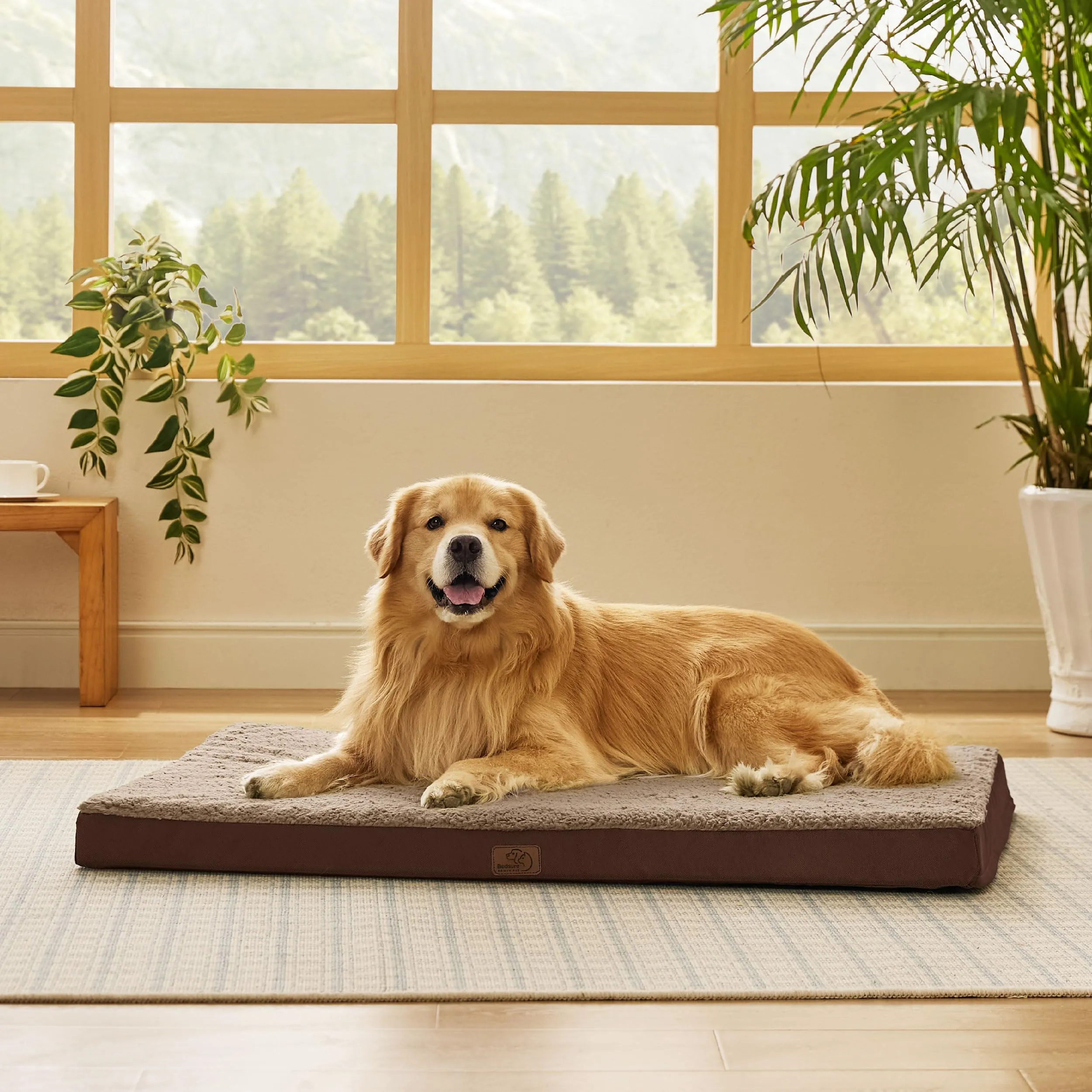 Bedsure Cuccia Cane Sfoderabile Lavabile, 112x81 cm, Marrone - immagine 3