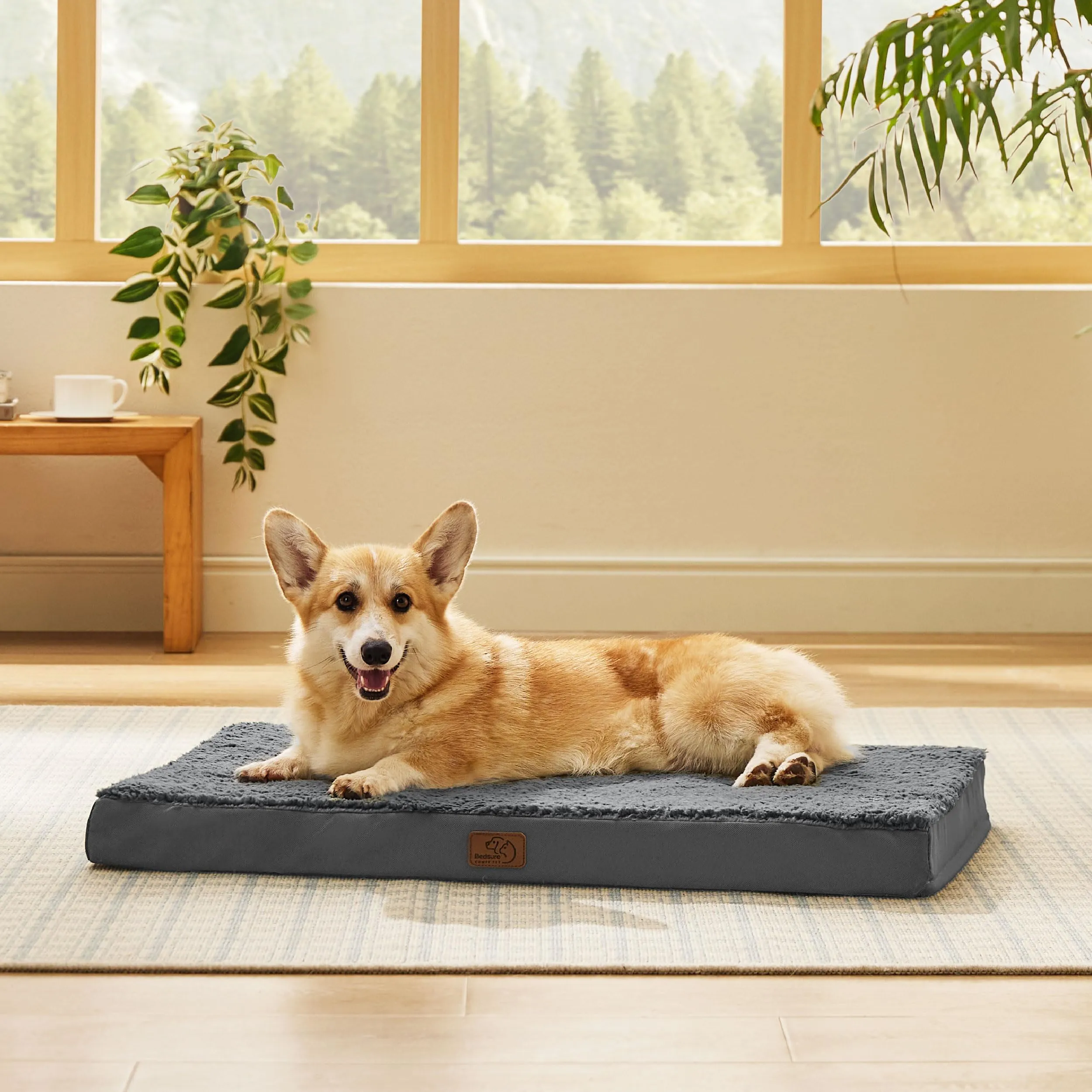 Bedsure Cuccia Cane Sfoderabile Lavabile, 89x56 cm, Grigio - immagine 5