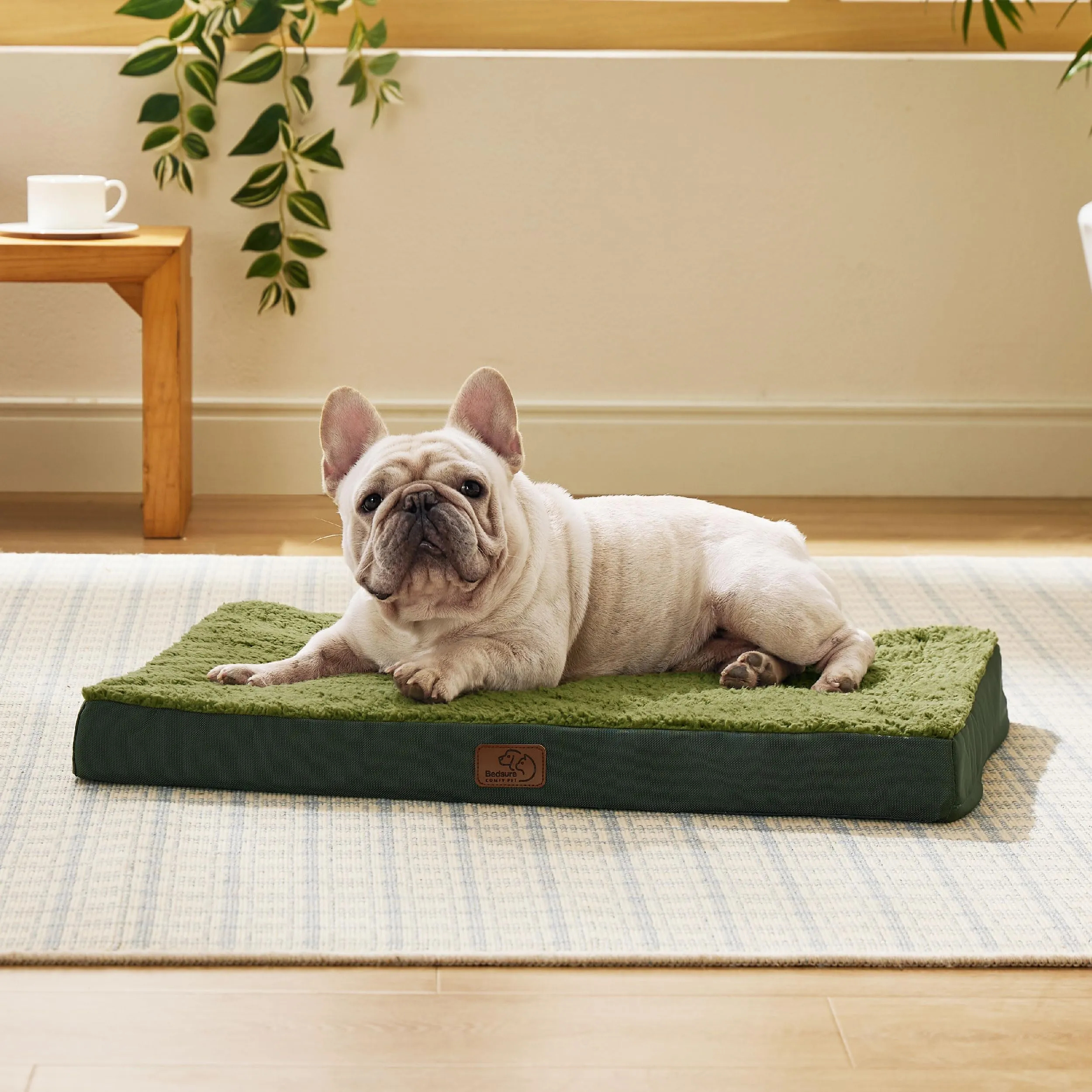 Bedsure Cuccia Cane Taglia Media Sfoderabile Lavabile, 76x51 cm, Verde - immagine 6