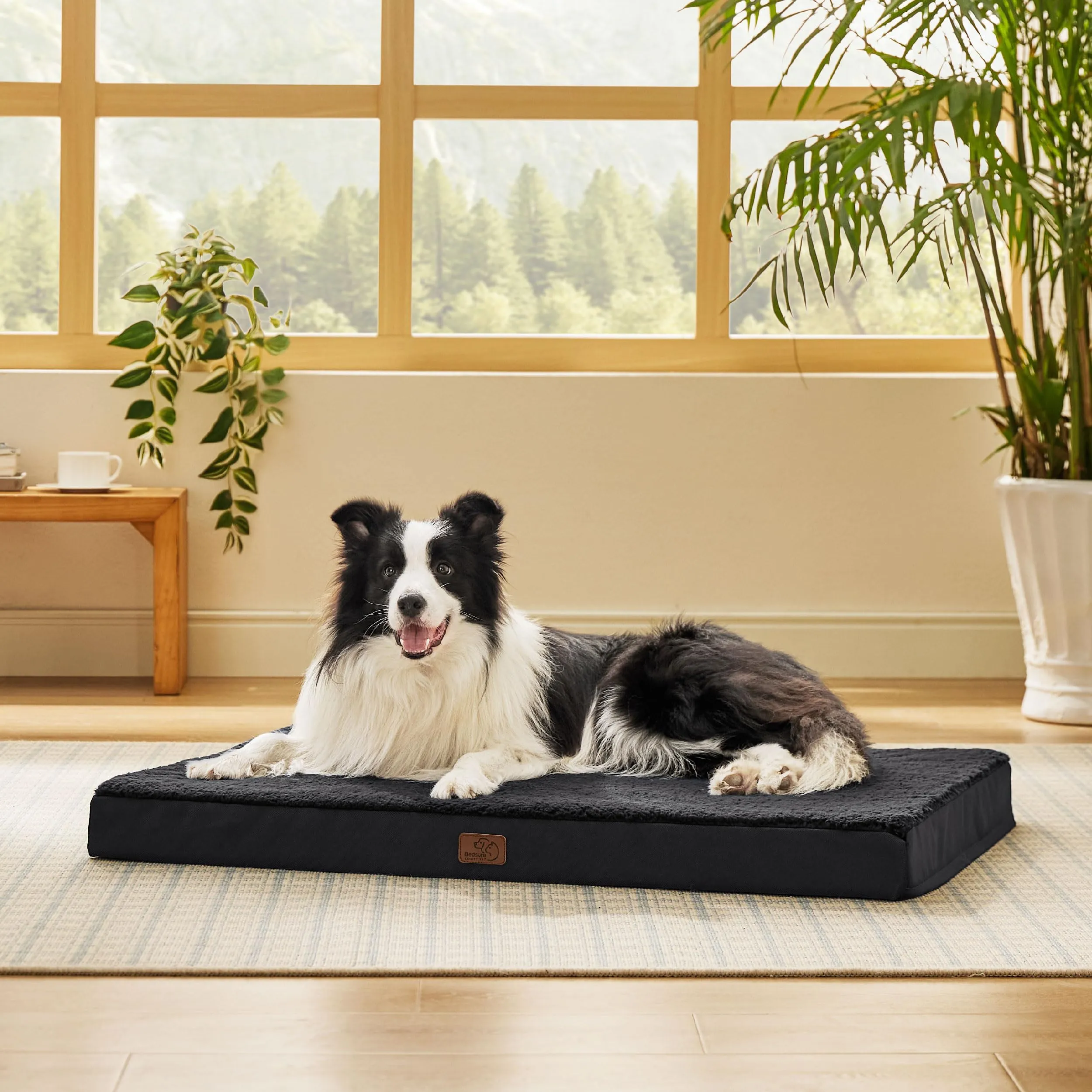 Bedsure Cuccia Cane Sfoderabile Lavabile, 91x69 cm, Nero - immagine 6